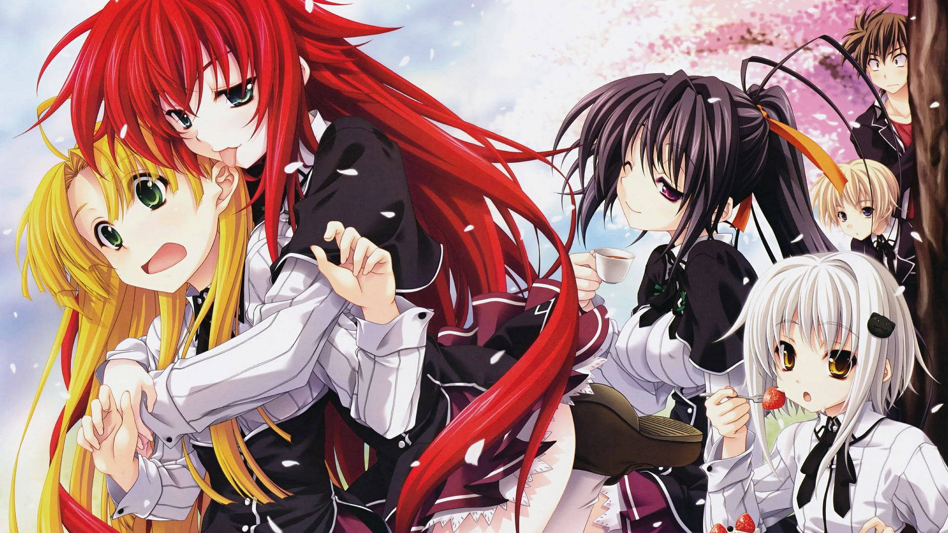 Akeno Rias Asia Koneko High School Dxd Background