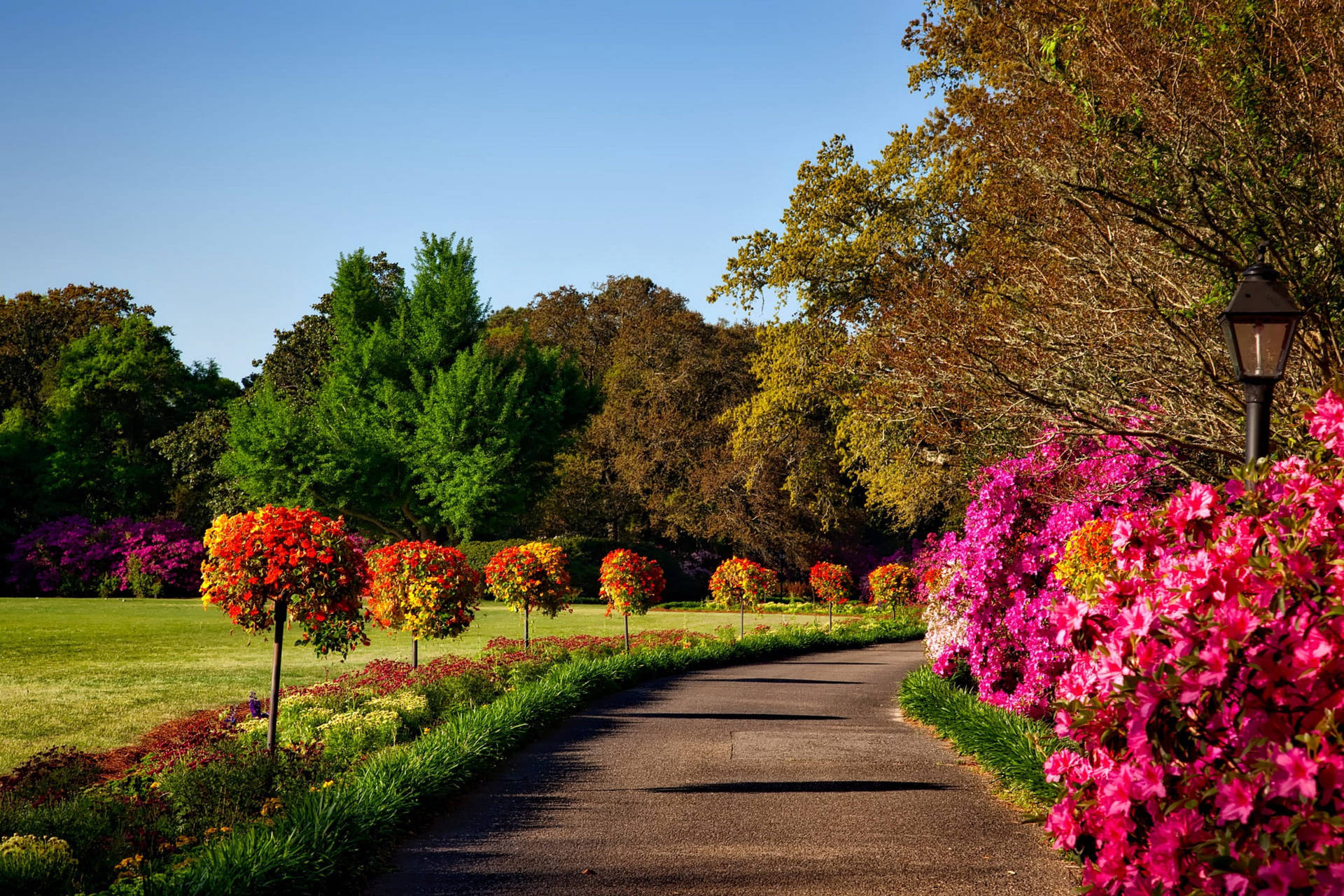 Alabama Bellingrath Gardens Background