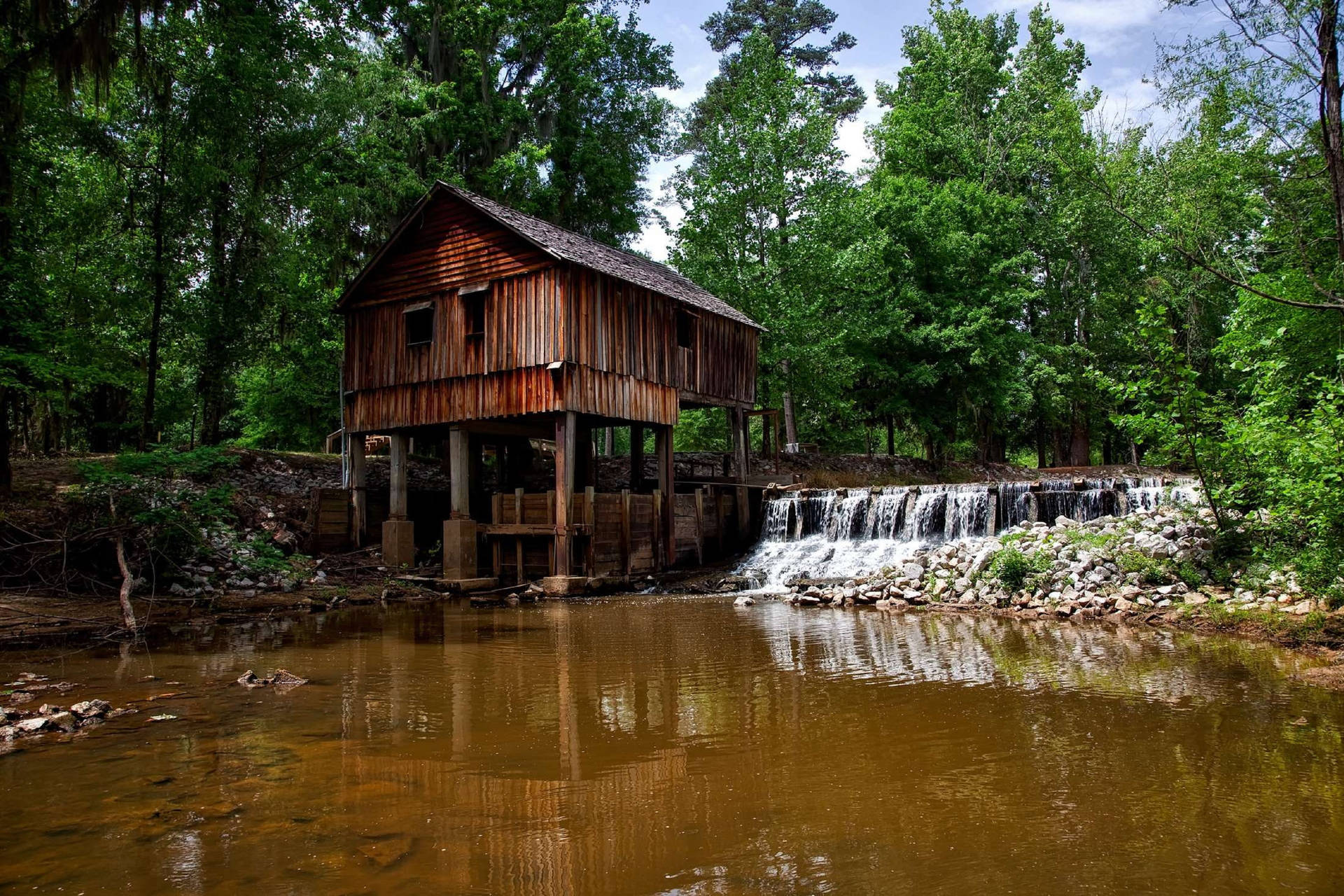 Alabama Rikard's Mill Park Background