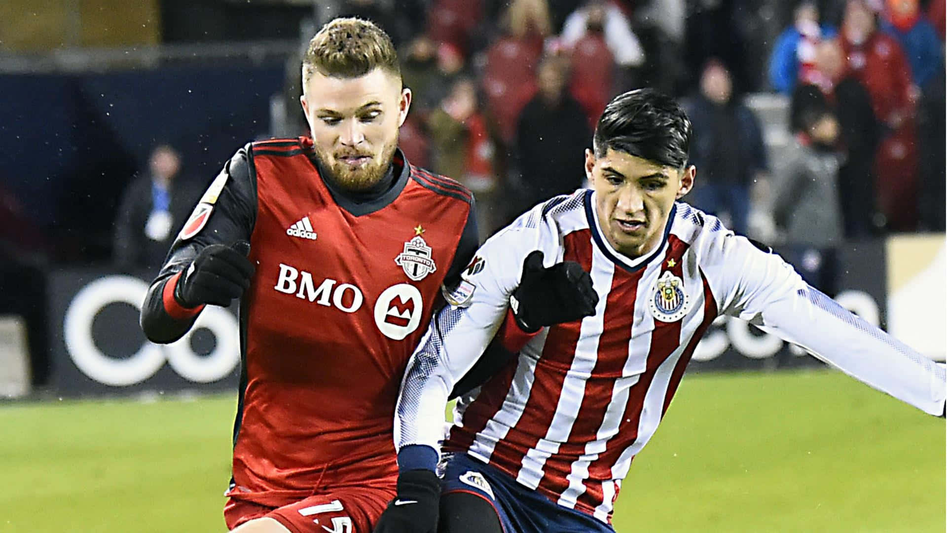 Alan Pulido And Eriq Zavaleta Fighting For The Ball Background