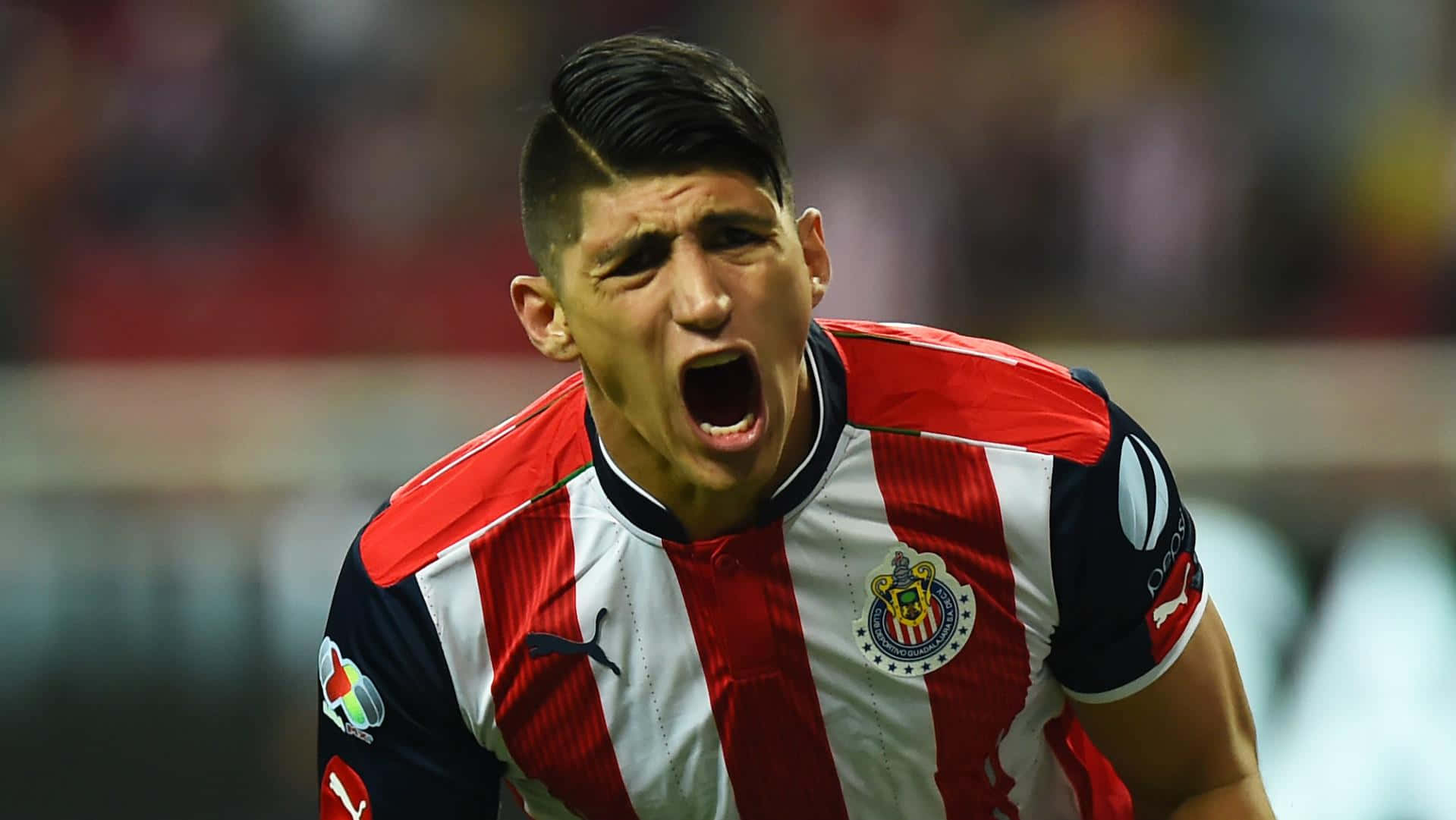 Alan Pulido Chivas Guadalajara Background