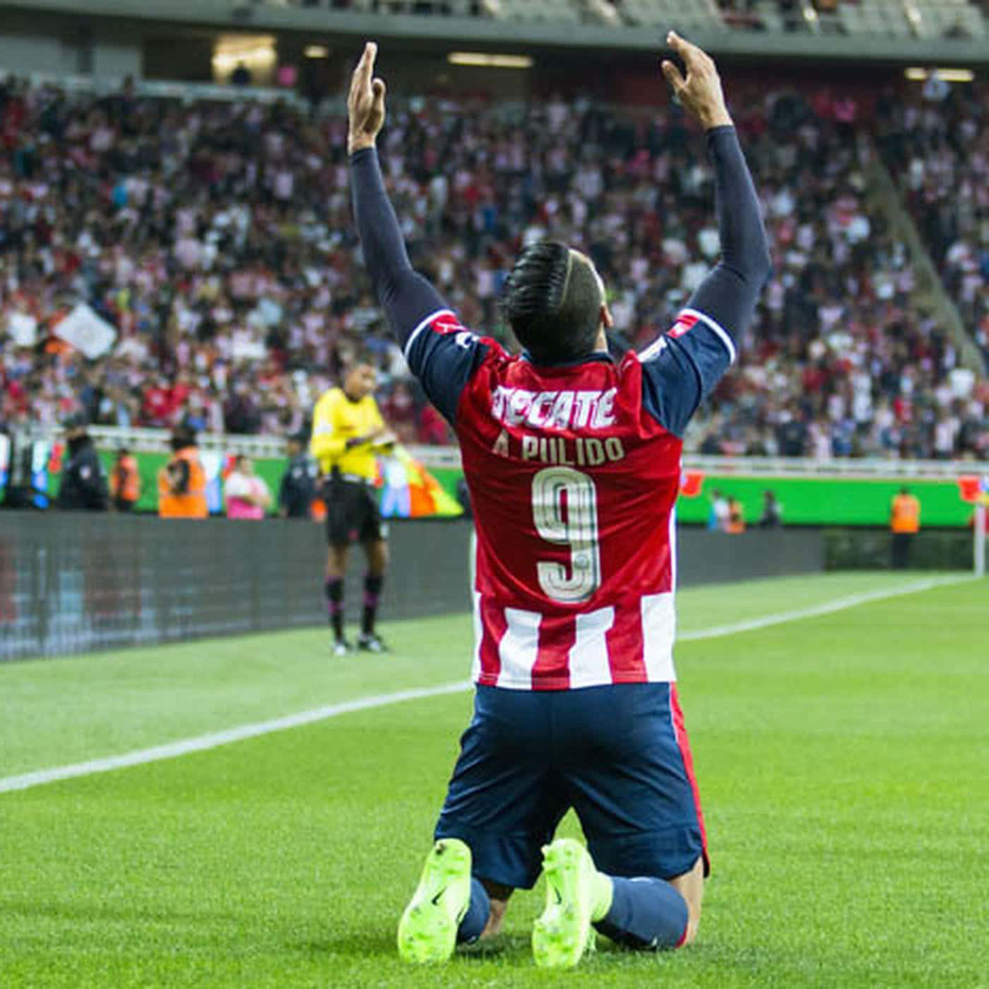 Alan Pulido Kneeling Celebration Background