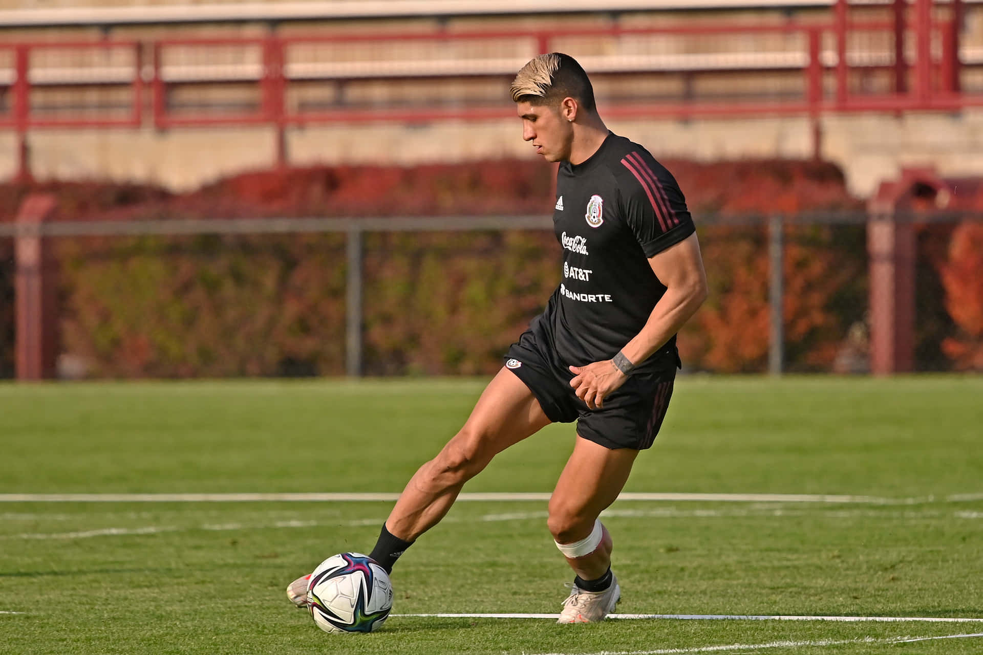 Alan Pulido Training In The Pitch Background