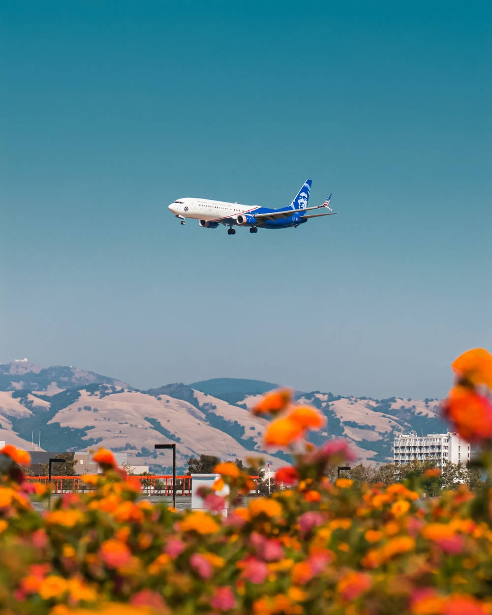 Alaska Airlines Plane Above Flower Field Background