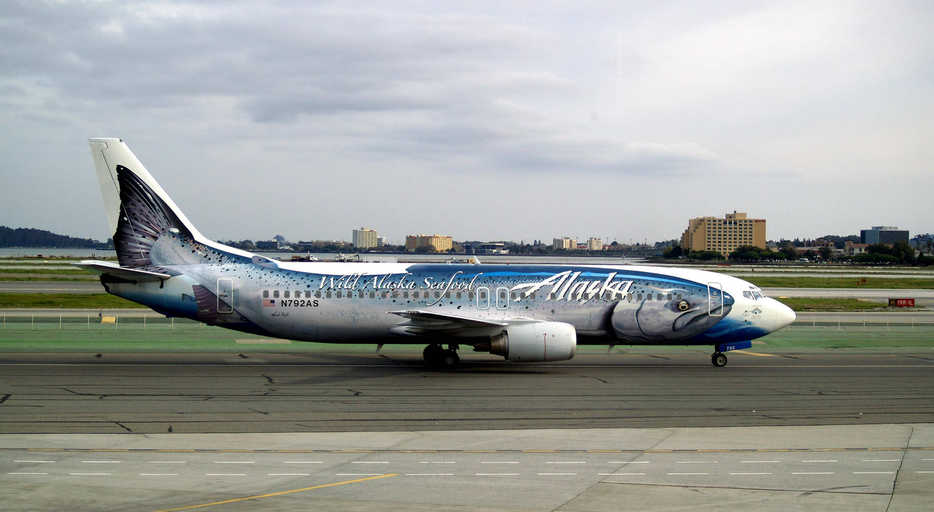 Alaska Airlines Seafood Fish Mural Background