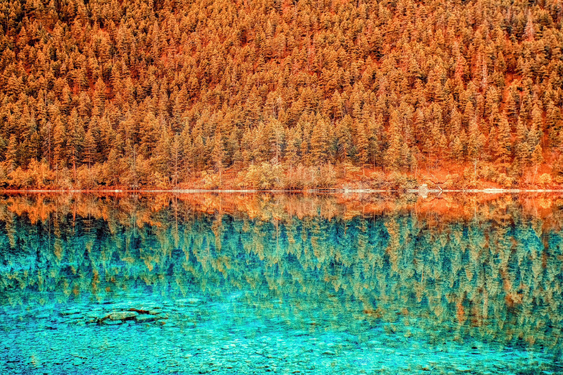 Alberta Lake Fall Desktop