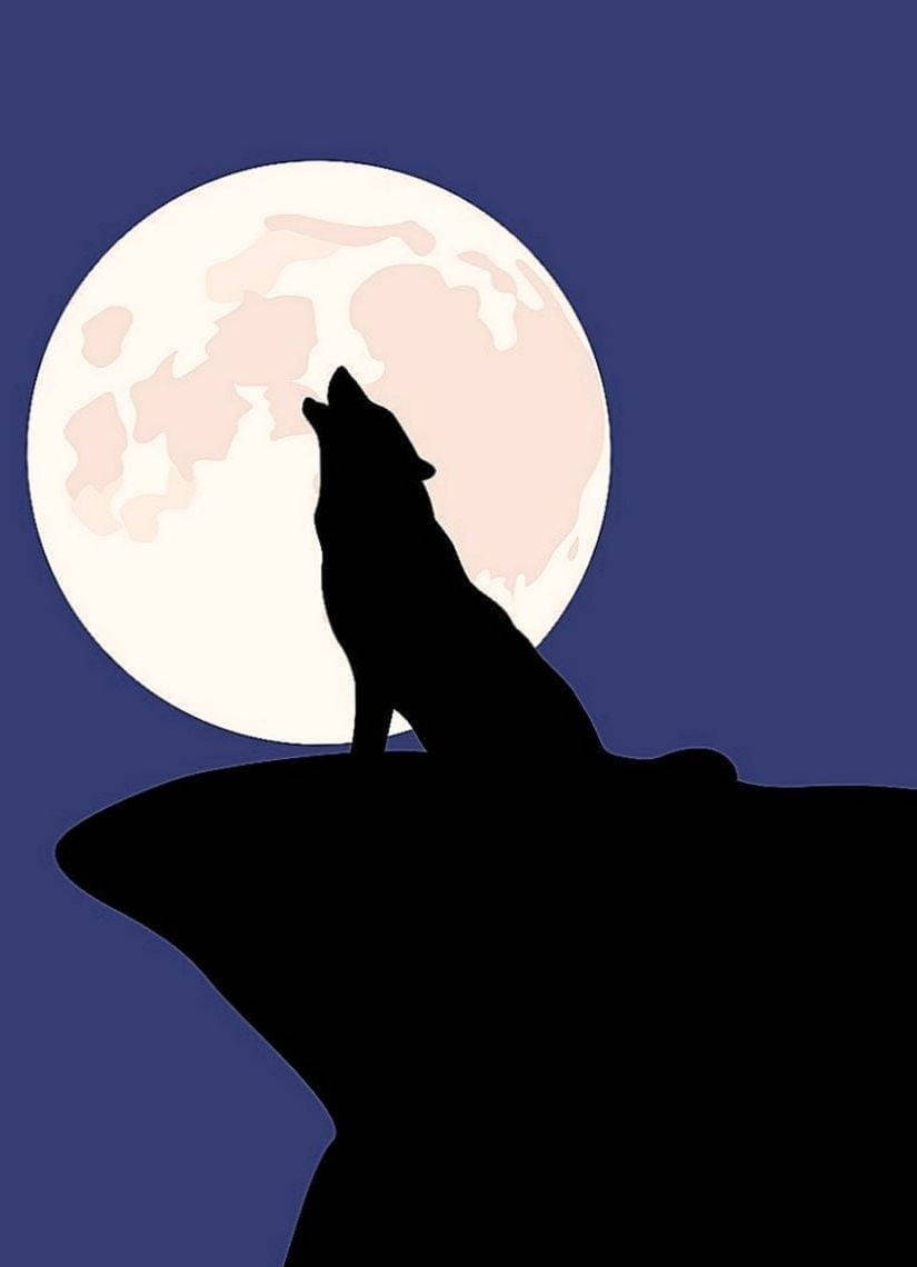 Alcatel Wolf Silhouette Background