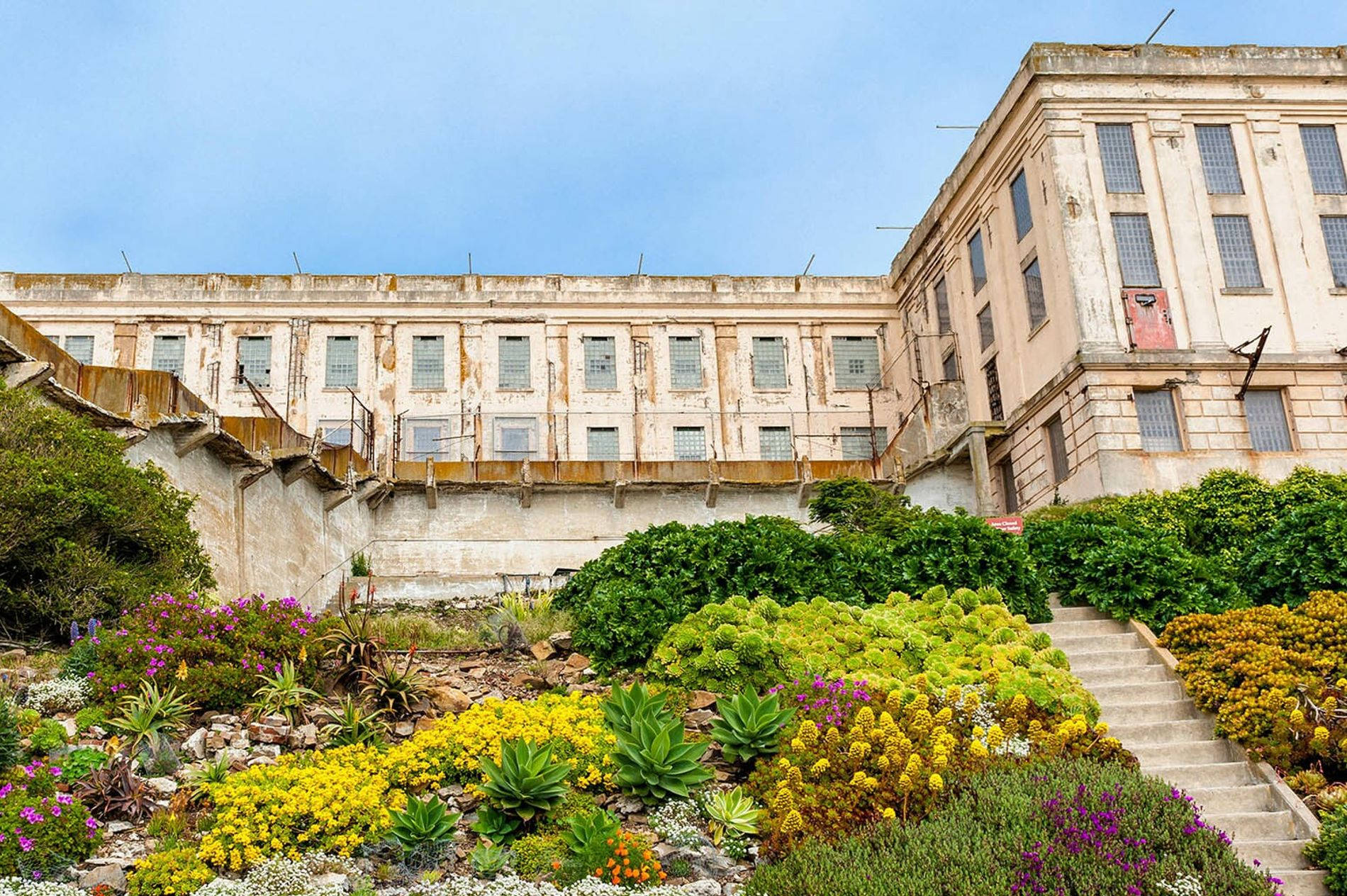 Alcatraz Island Garden Overlooking The Bay Background