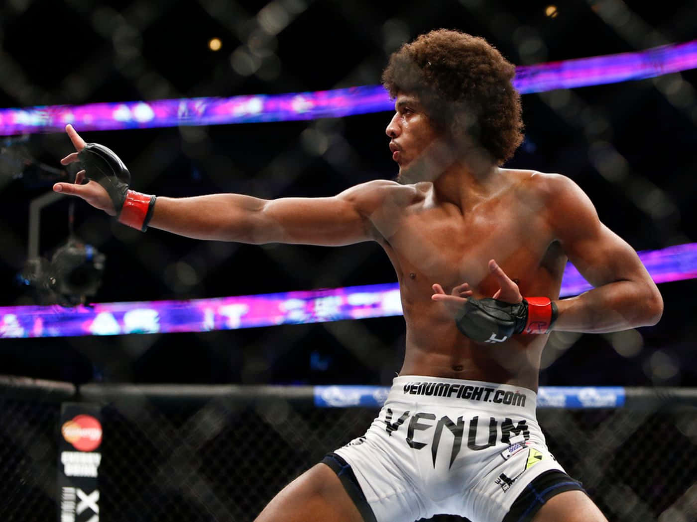 Alex Caceres Mma Fighting Stance Background