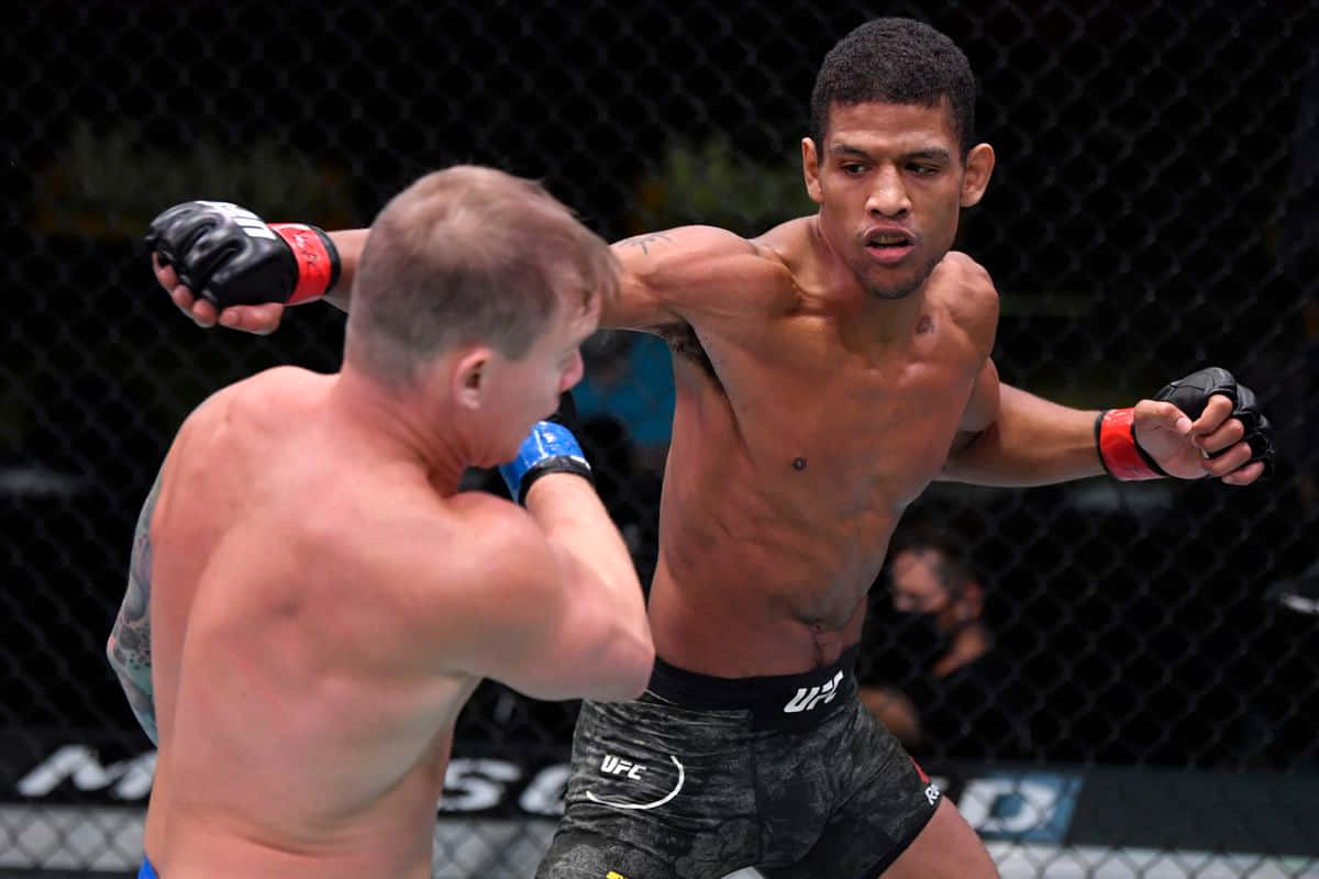 Alex Caceres Punching Austin Springer Background