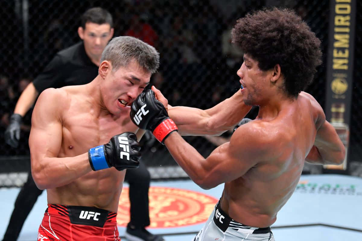 Alex Caceres Punching Seungwoo Choi Background