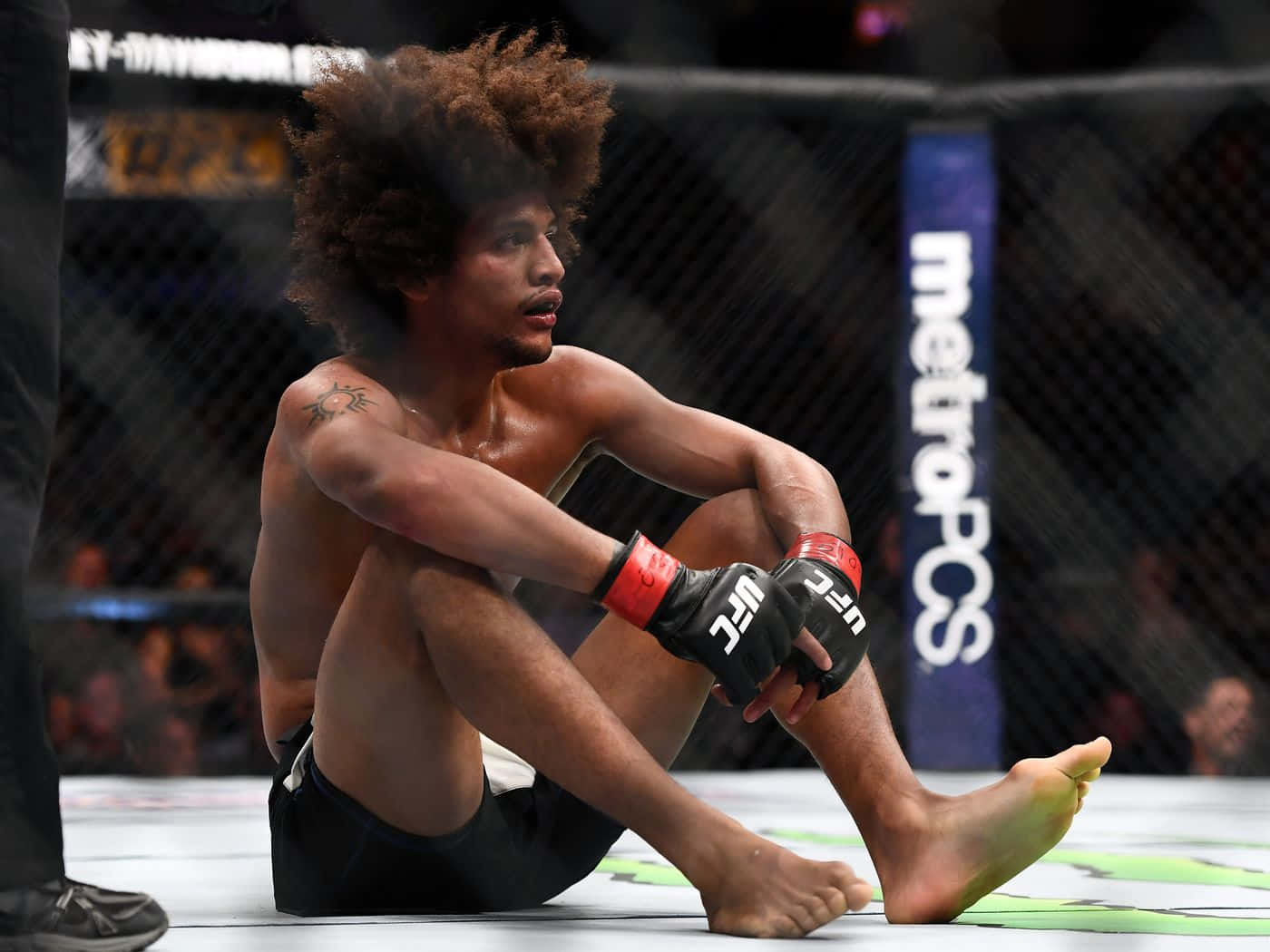 Alex Caceres Sitting Inside Ring Background