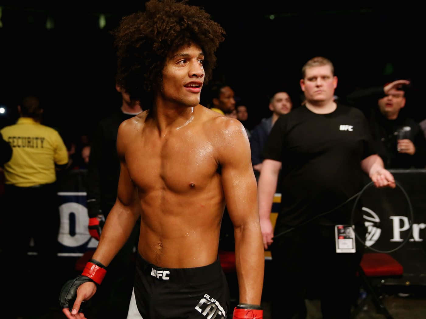 Alex Caceres Ufc Fighter Background