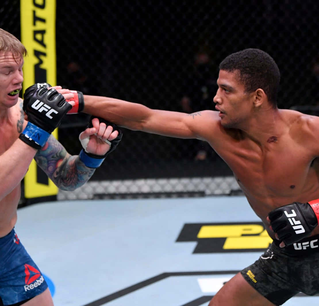 Alex Caceres Vs Austin Springer Background