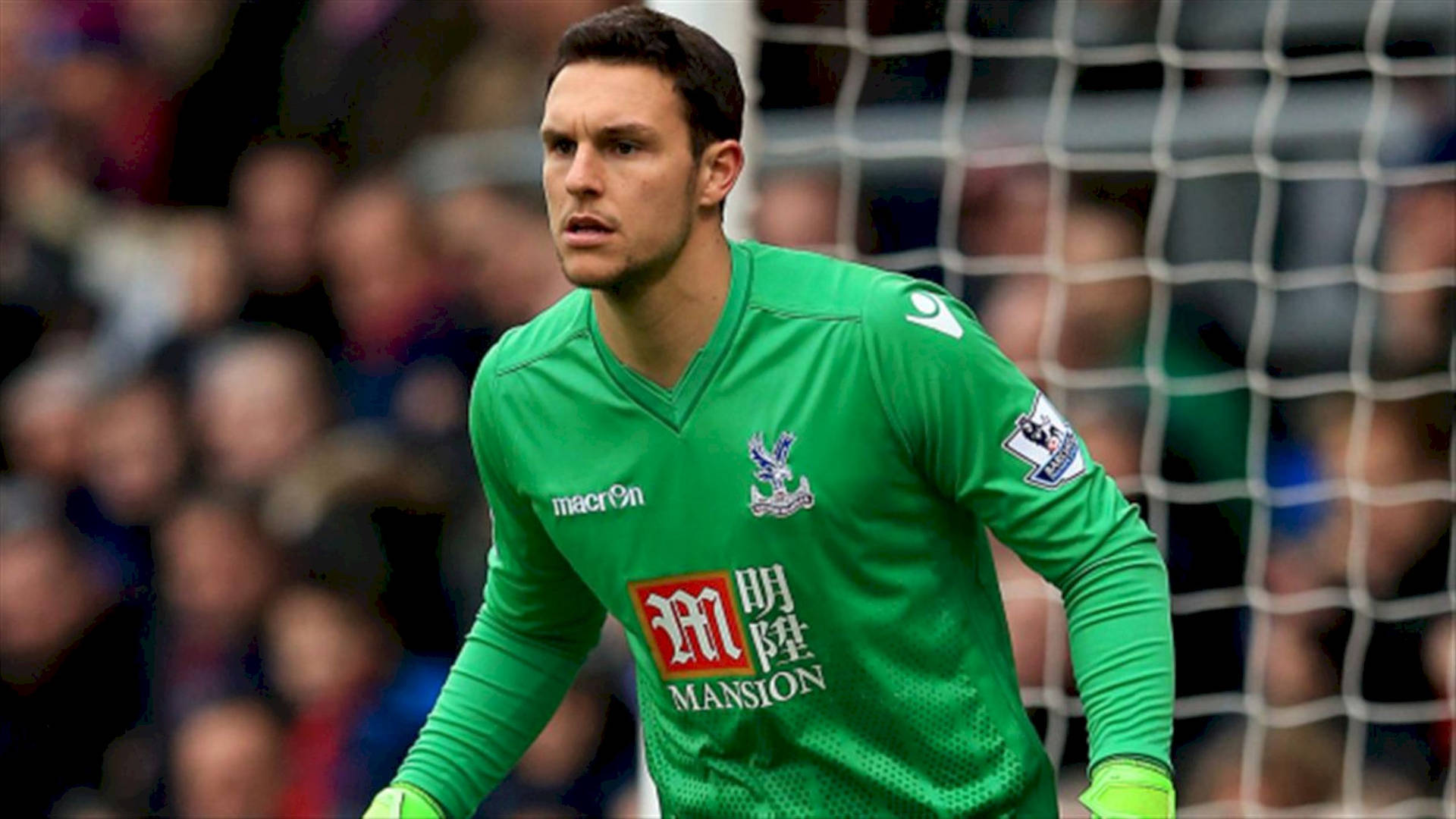 Alex Mccarthy Football Goalkeeper