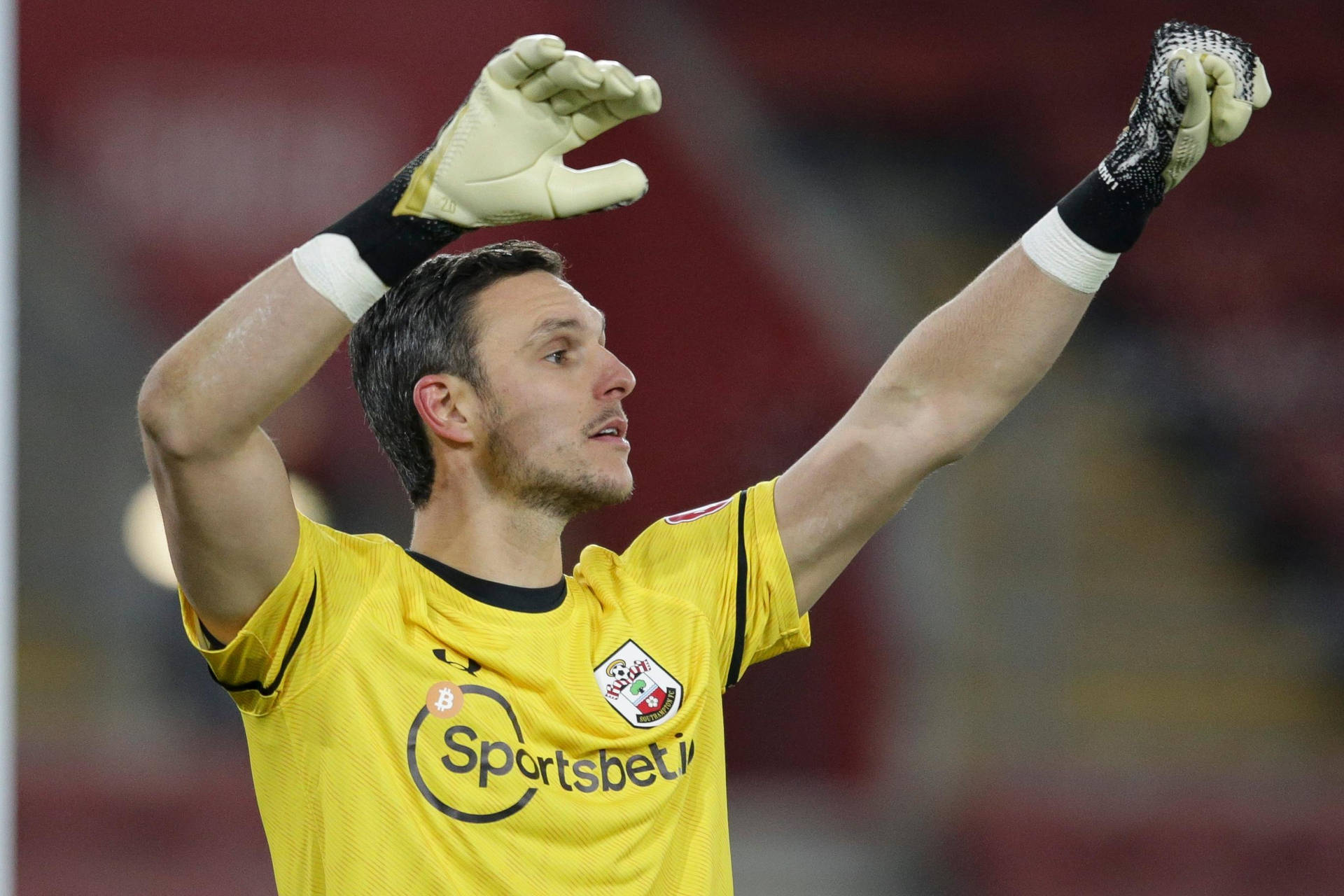 Alex Mccarthy With Arms Up Background