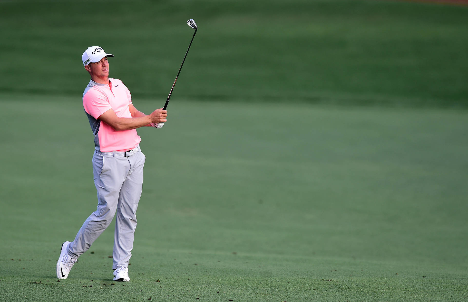 Alex Noren In Pink Background