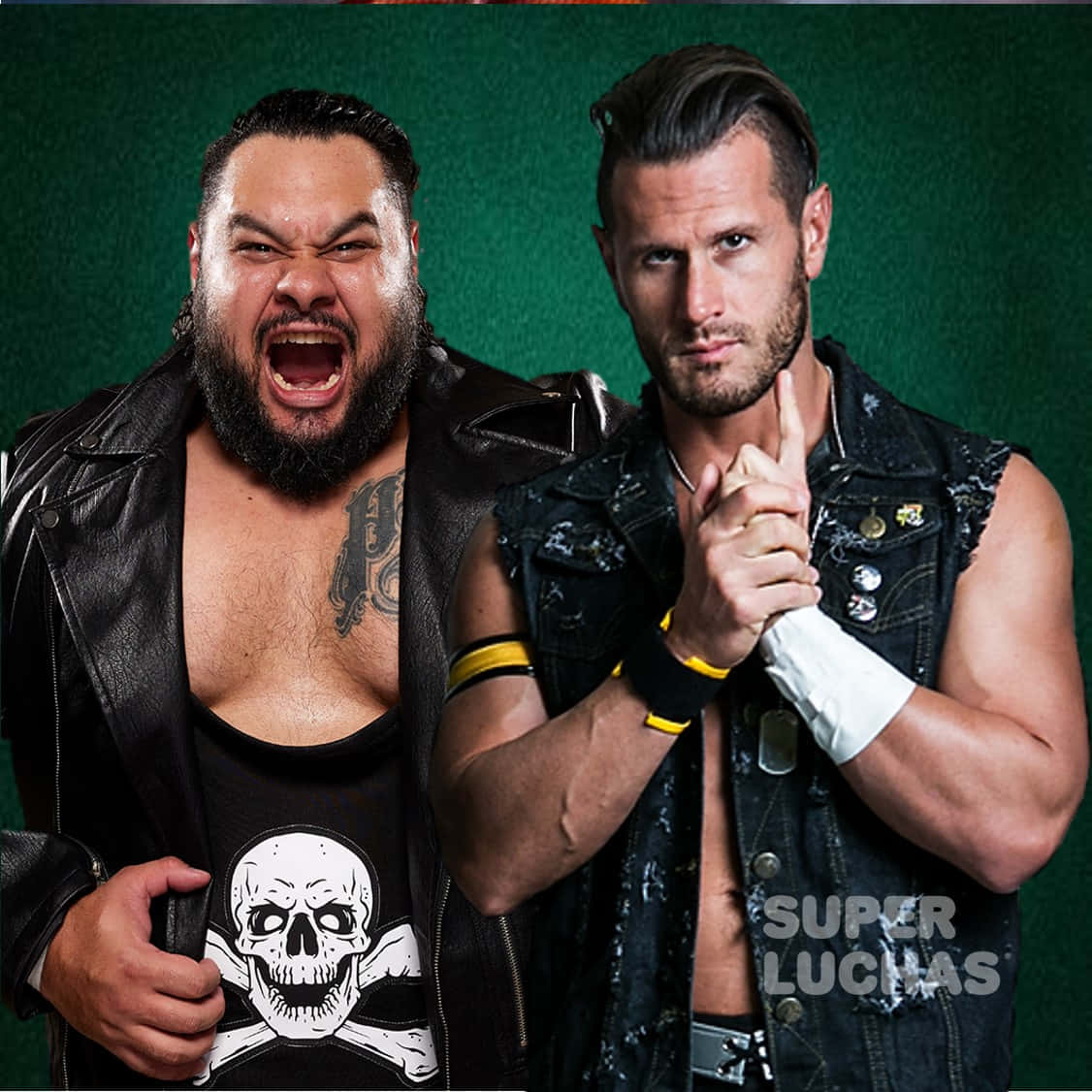 Alex Shelley And Bull Dempsey Wrestling In Wwe Nxt Background