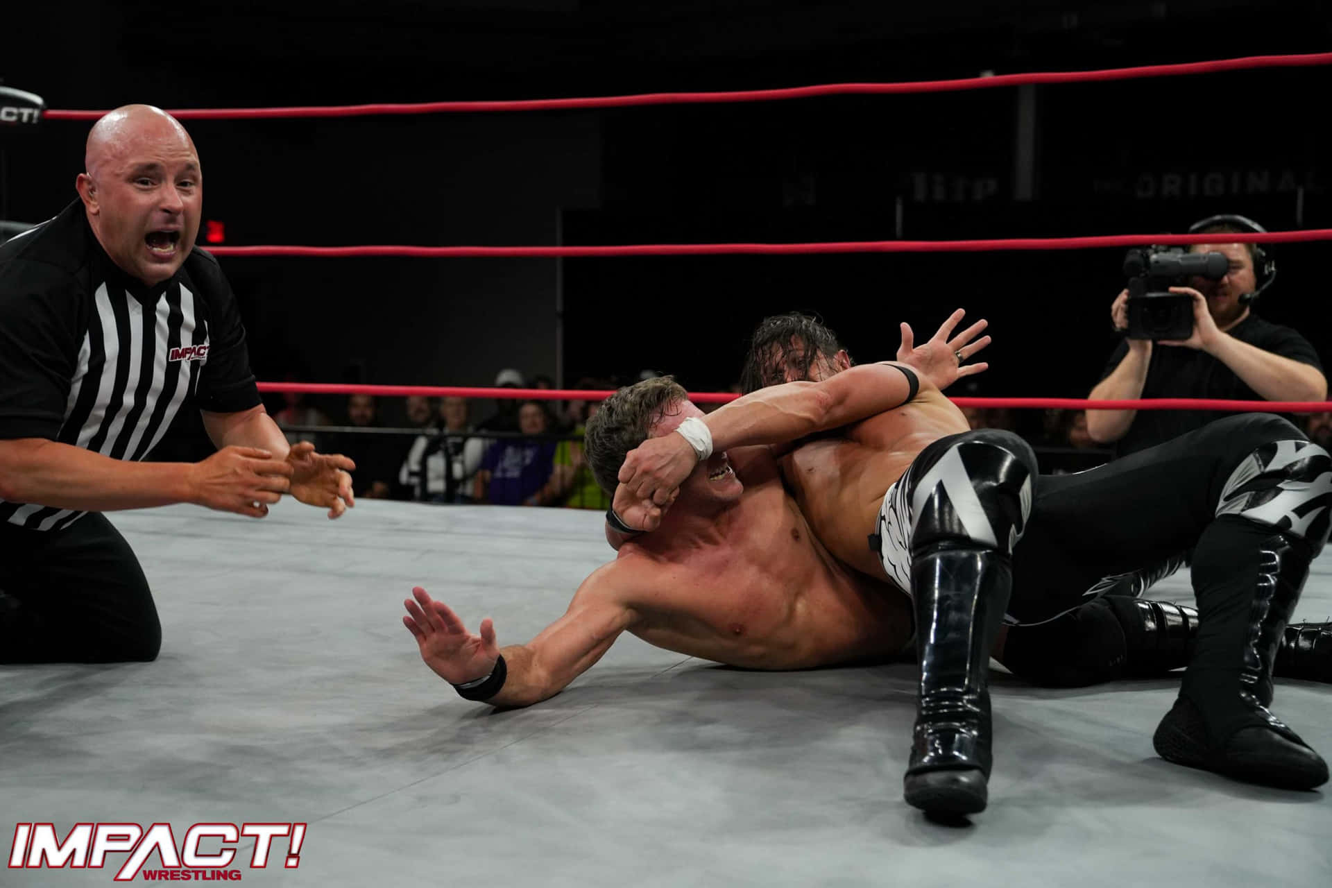 Alex Shelley Plays Against Chris Sabin Background