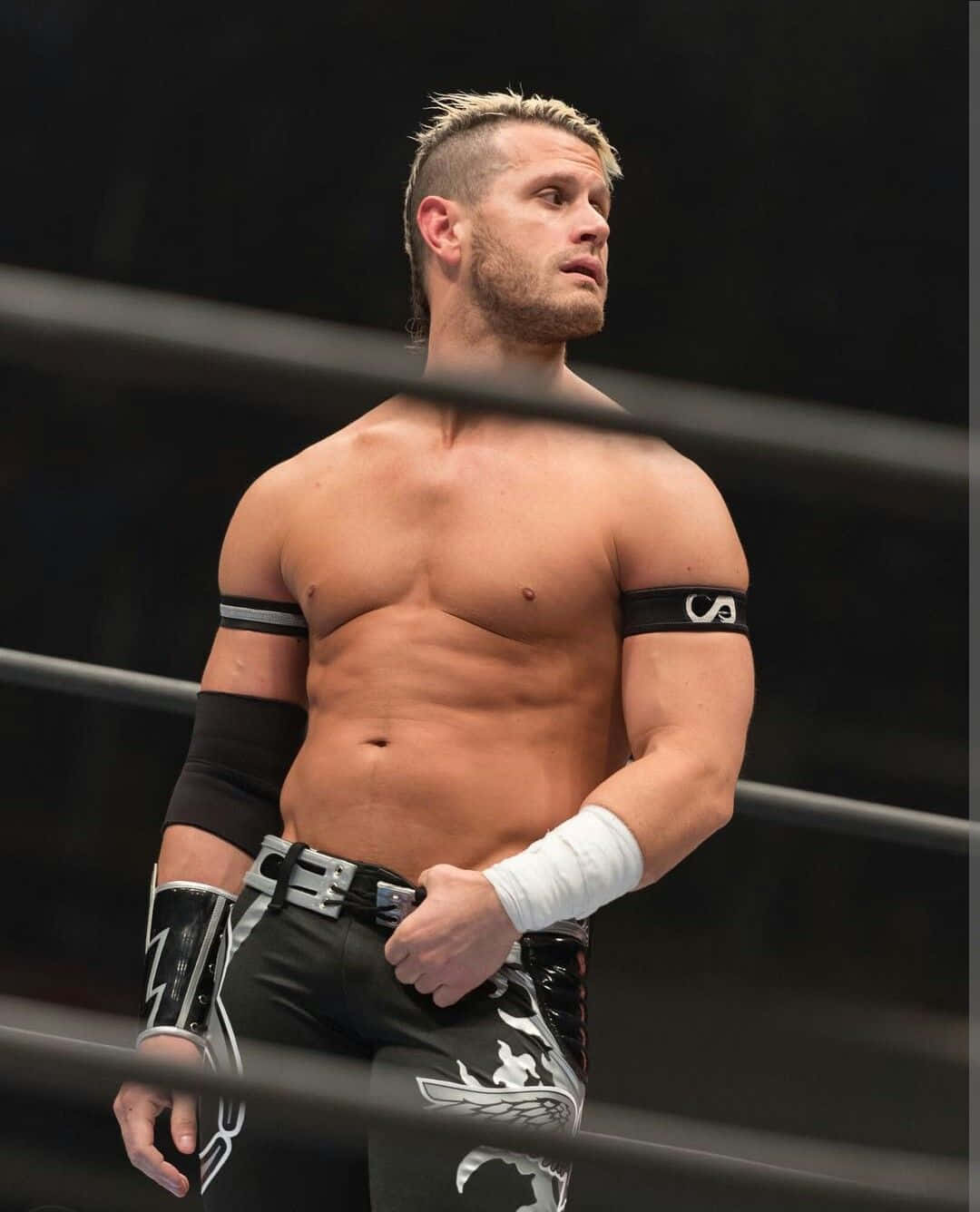 Alex Shelley Posing During Impact Wrestling Game Background