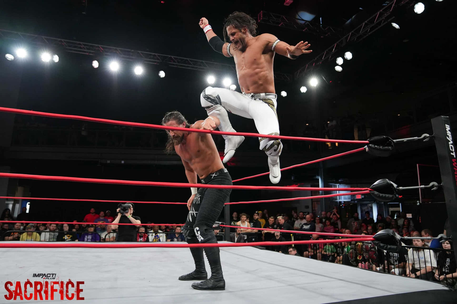 Alex Shelley Versus Seth Collins On Sacrifice Event Background