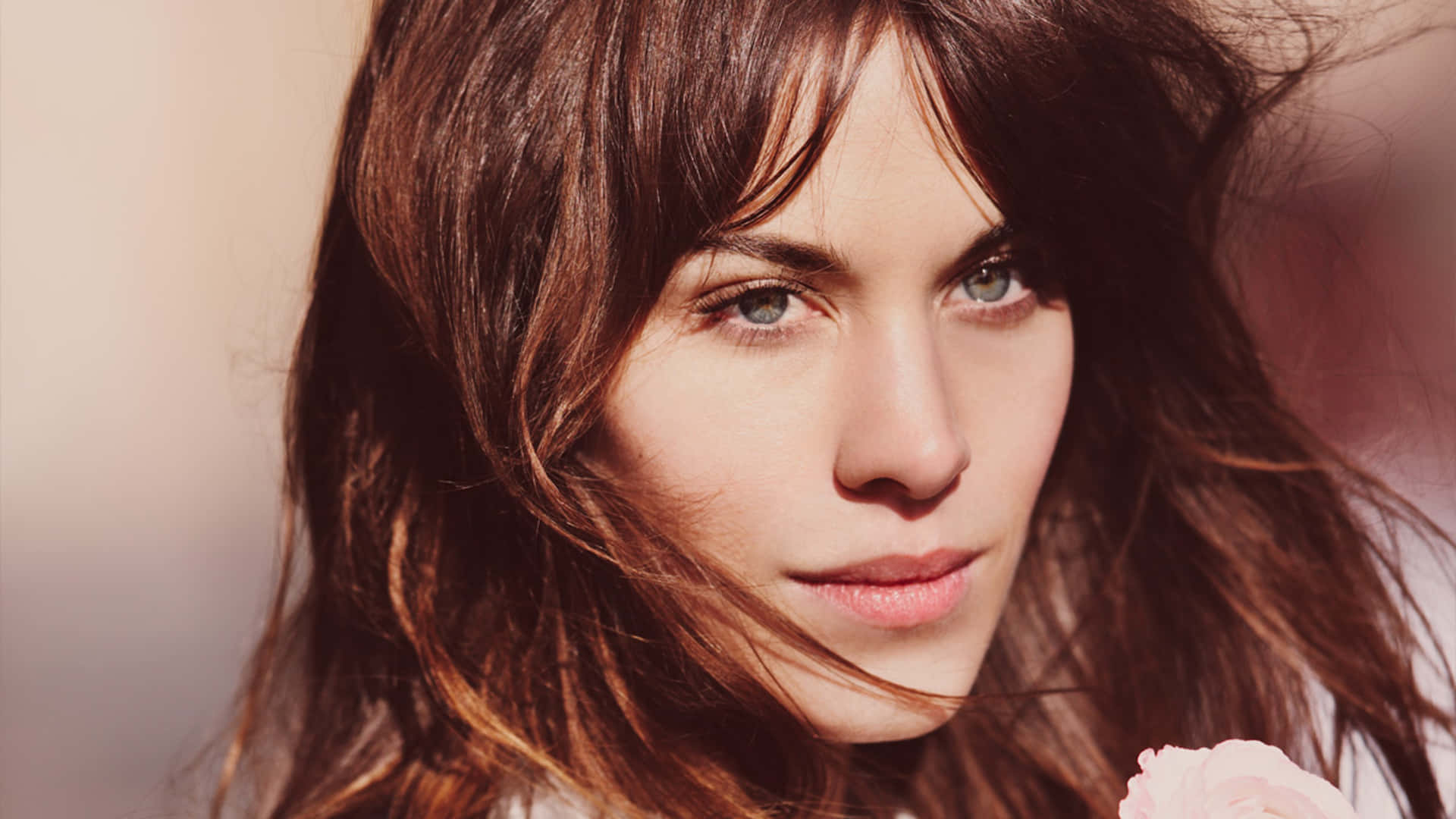 Alexa Chung Windswept Hair Background