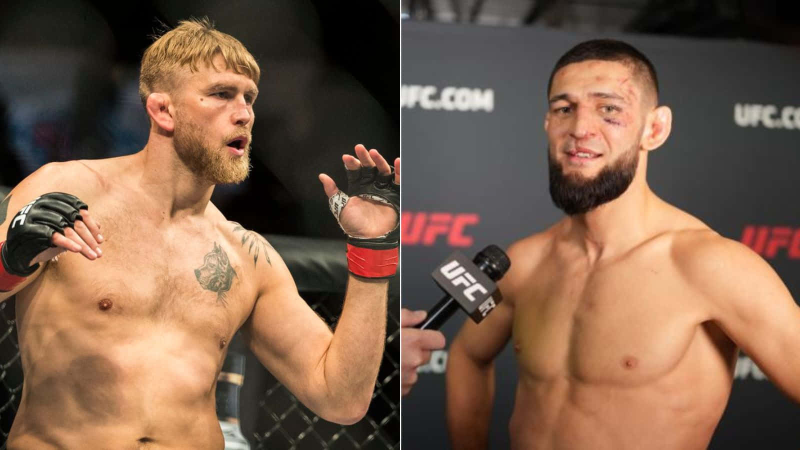 Alexander Gustafsson And Khamzat Chimaev Background