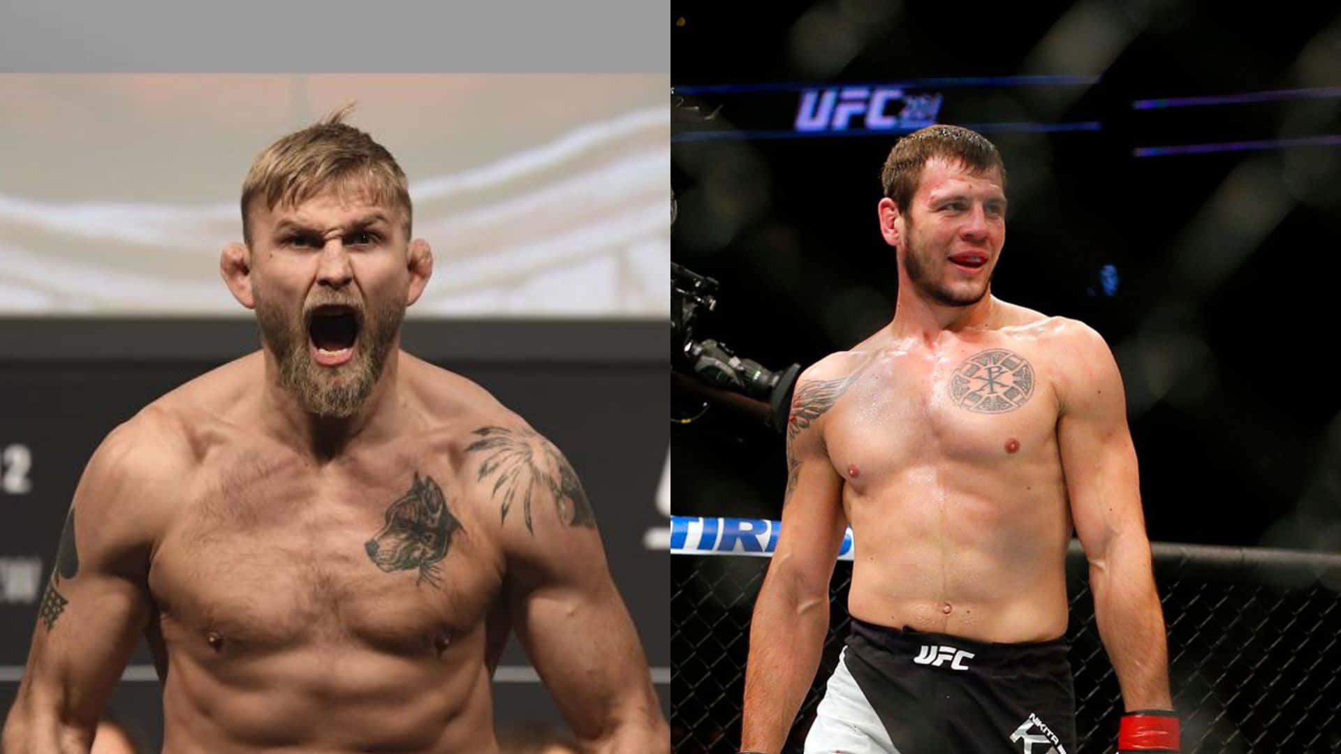 Alexander Gustafsson Nikita Krylov Background