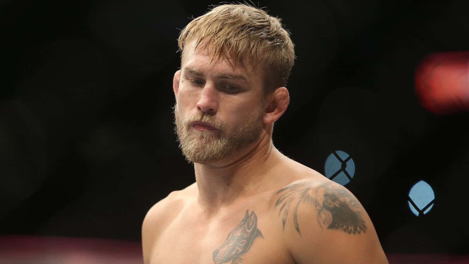 Alexander Gustafsson Ufc Fighter Background