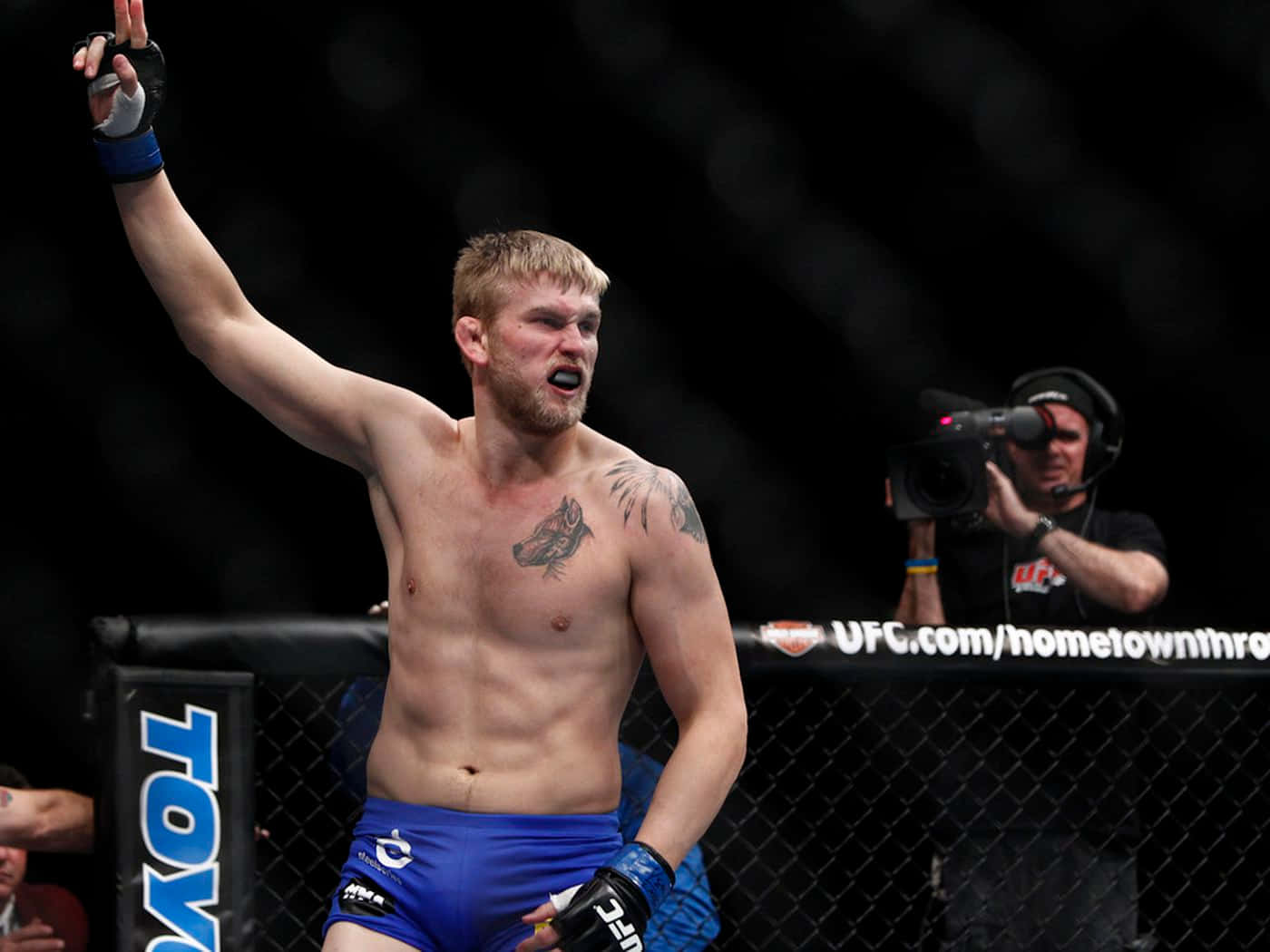 Alexander Gustafsson Ufc Poster Background