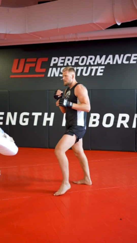 Alexander Volkov Ufc Training Background