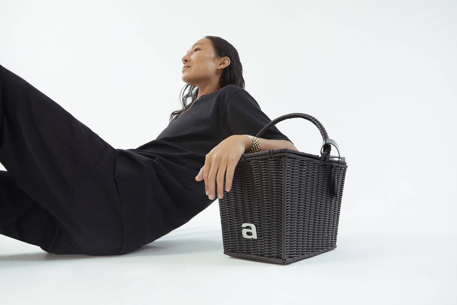 Alexander Wang Picnic Basket Background