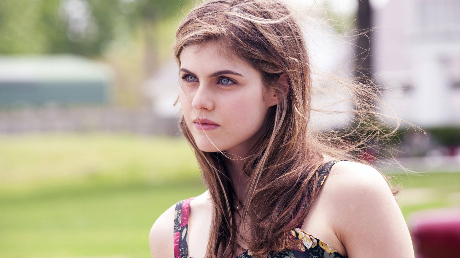 Alexandra Daddario 4k Windy Day Background