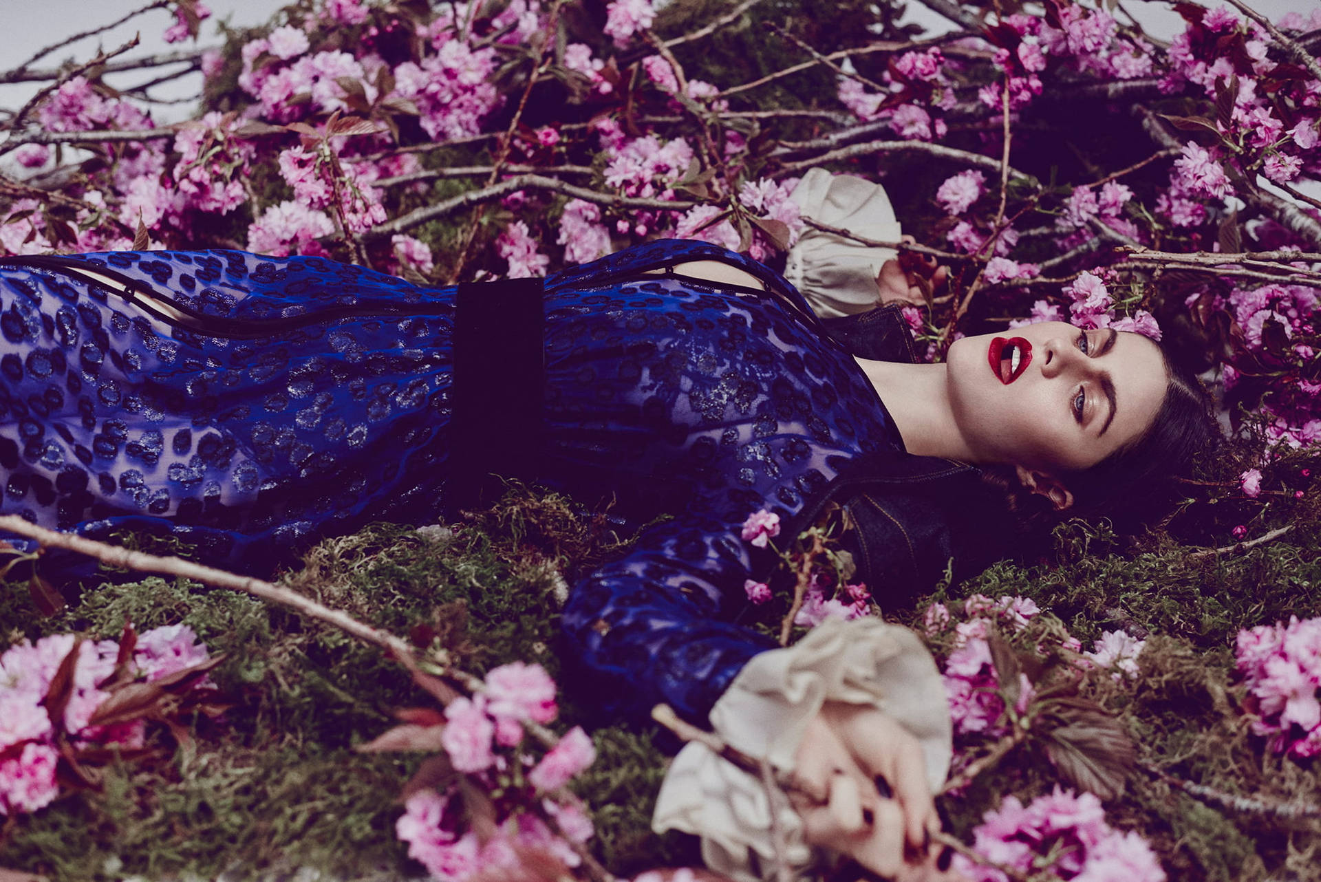 Alexandra Daddario Lying On Moss Background