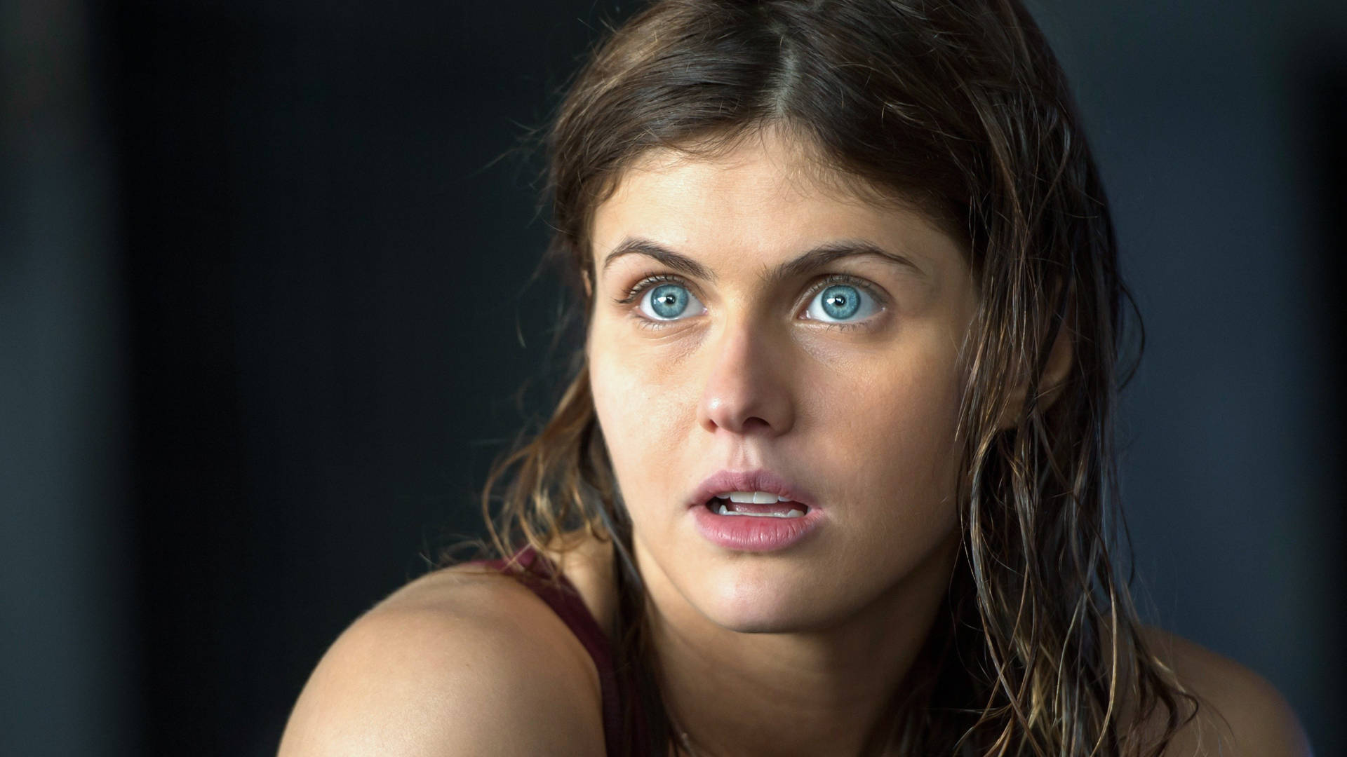 Alexandra Daddario Stunning 4k Photo Background