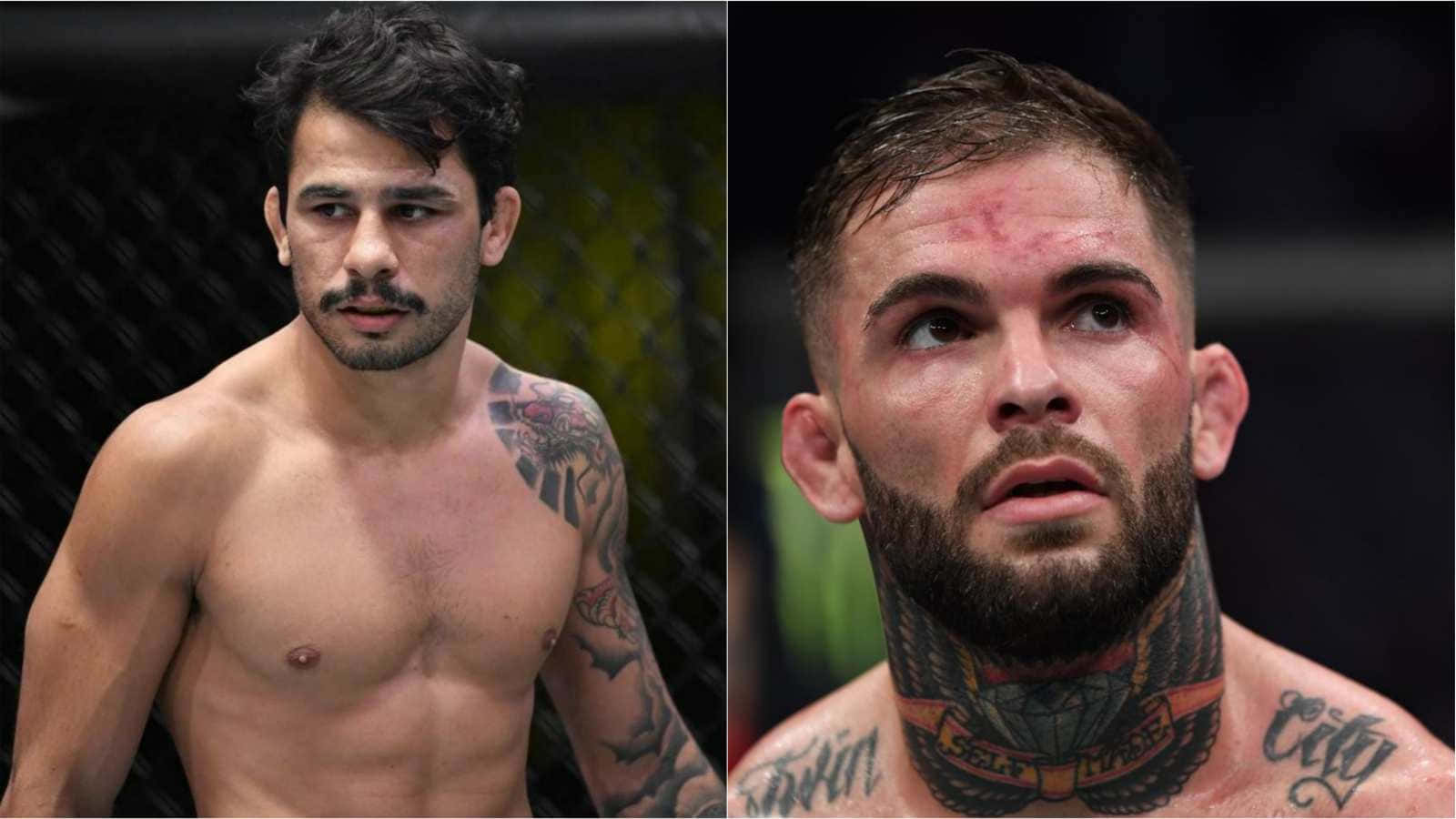 Alexandre Pantoja And Cody Garbrandt