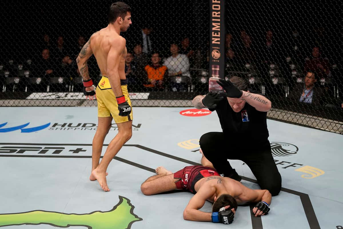 Alexandre Pantoja In Victorious Combat Against Matt Schnell