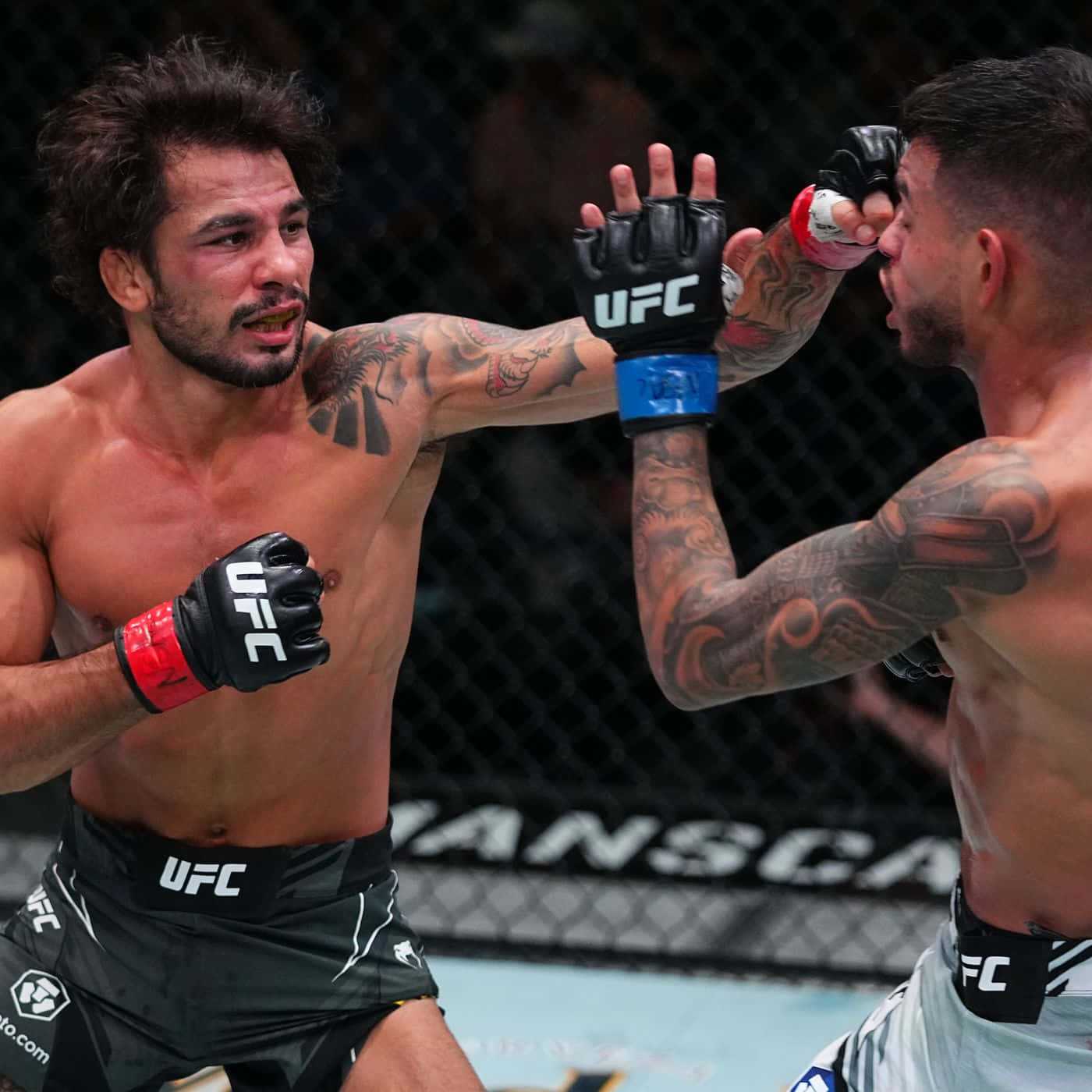 Alexandre Pantoja Vs Brandon Royval