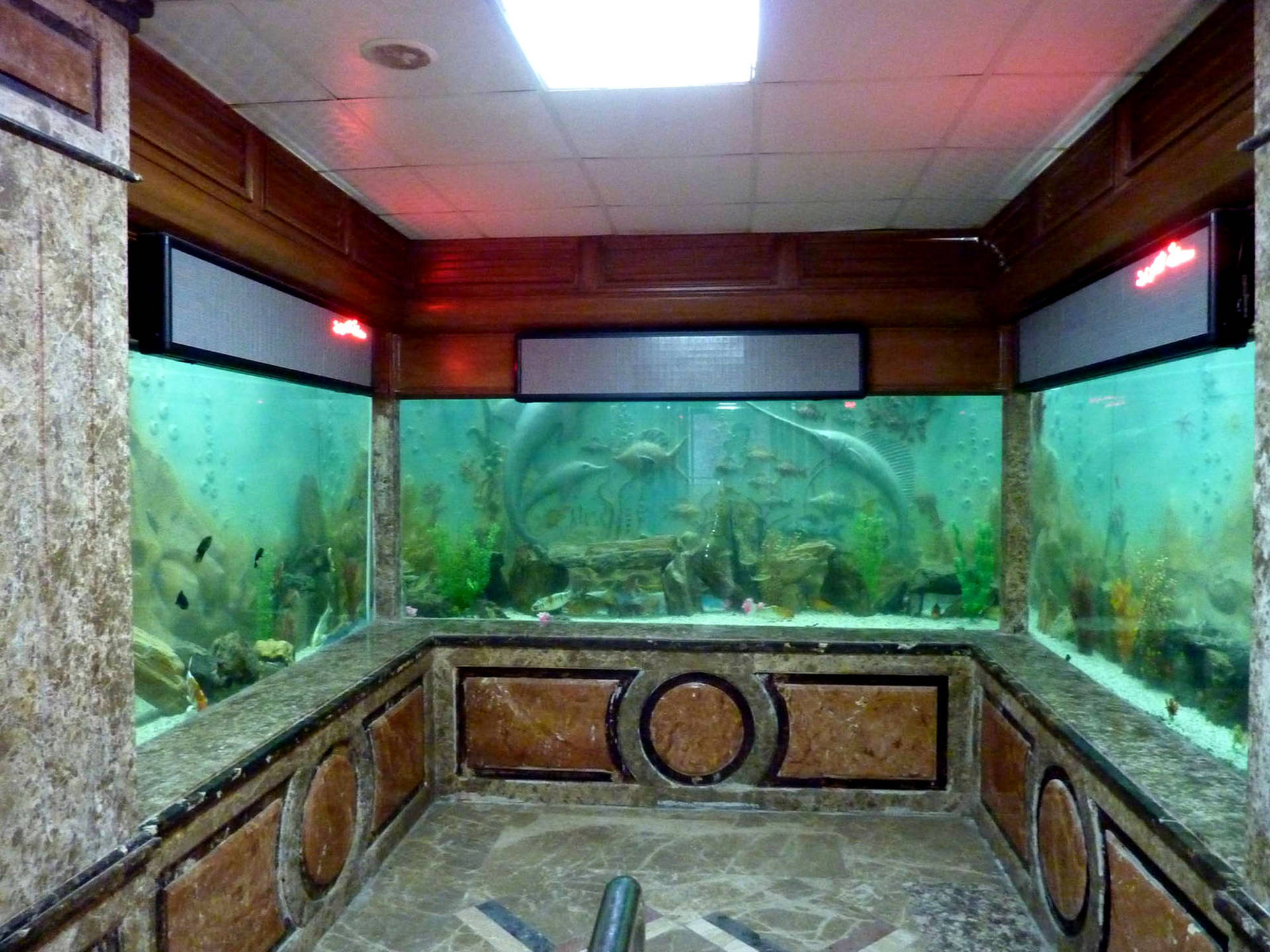 Alexandria Aquarium Egypt