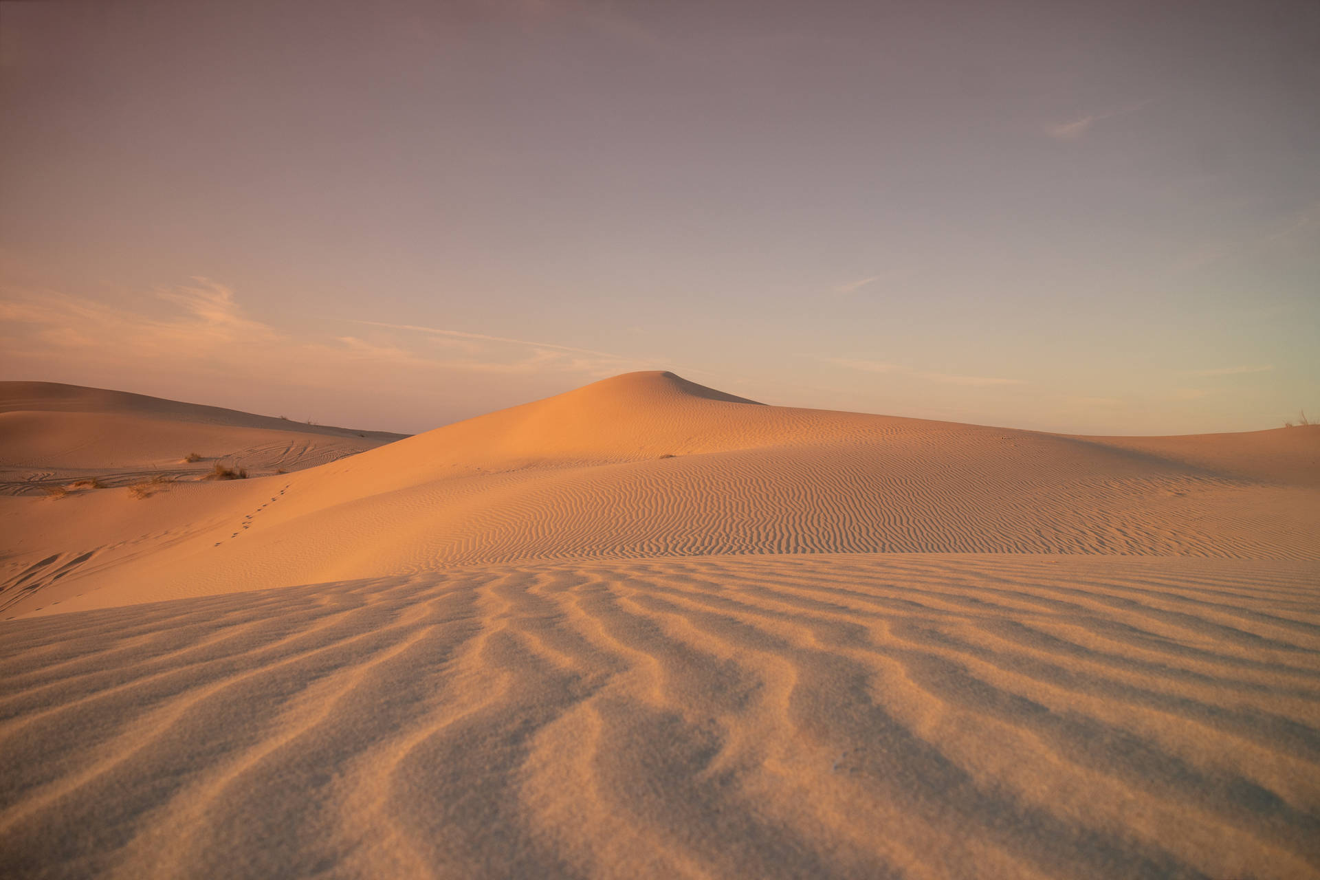 Algeria Desert And Sand Dunes