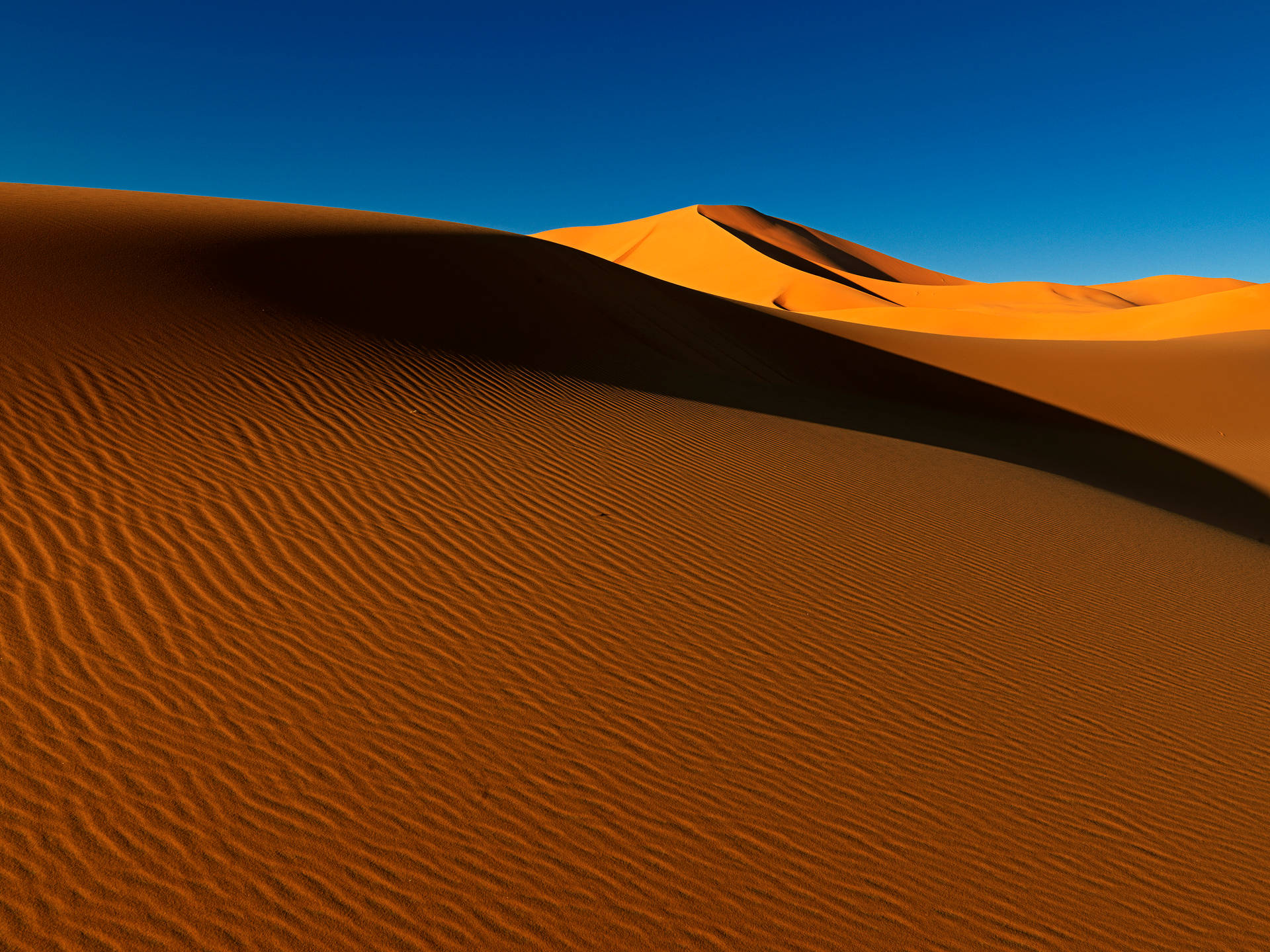 Algeria Desert Under Blue Sky Background