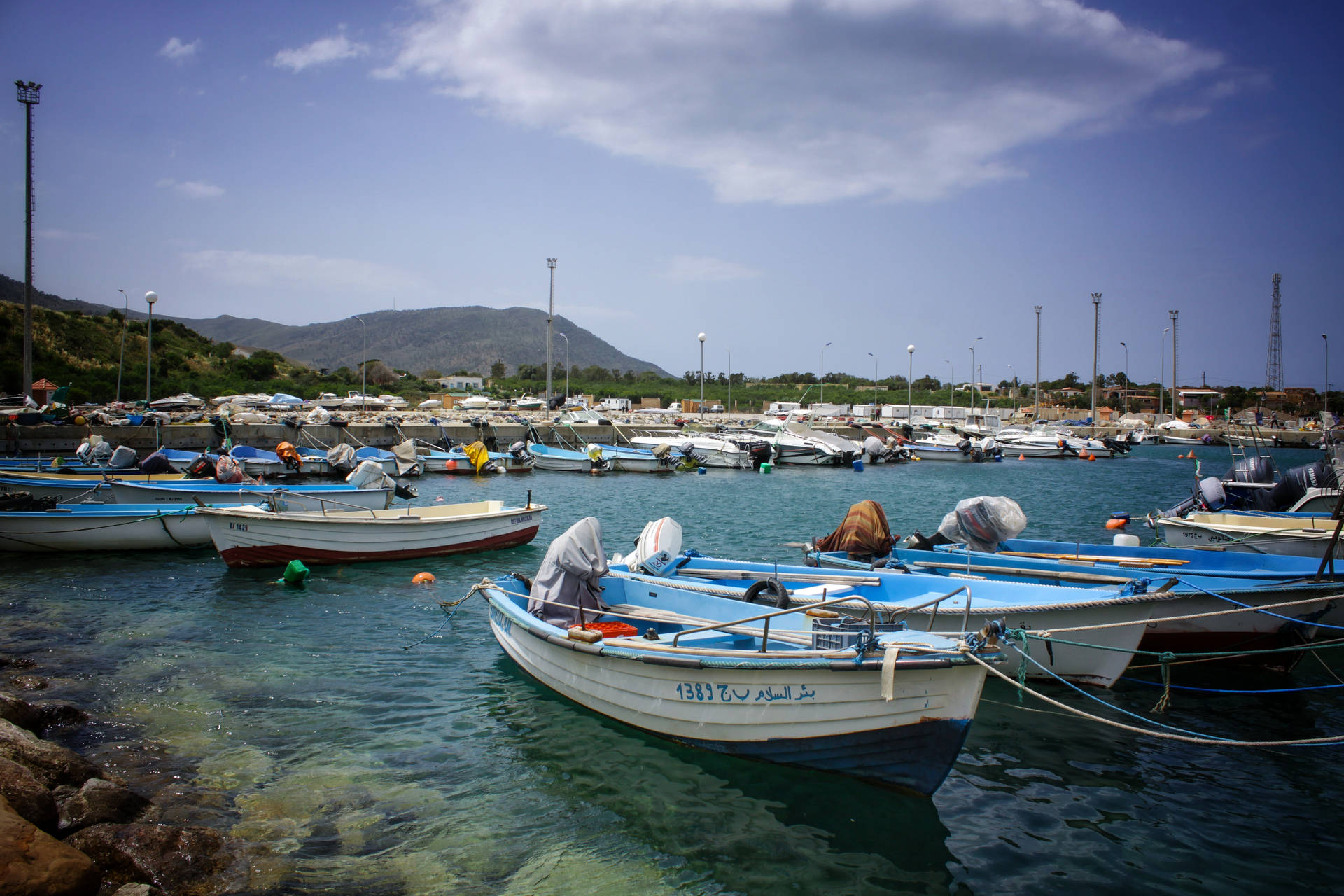 Algeria Dock With Boats