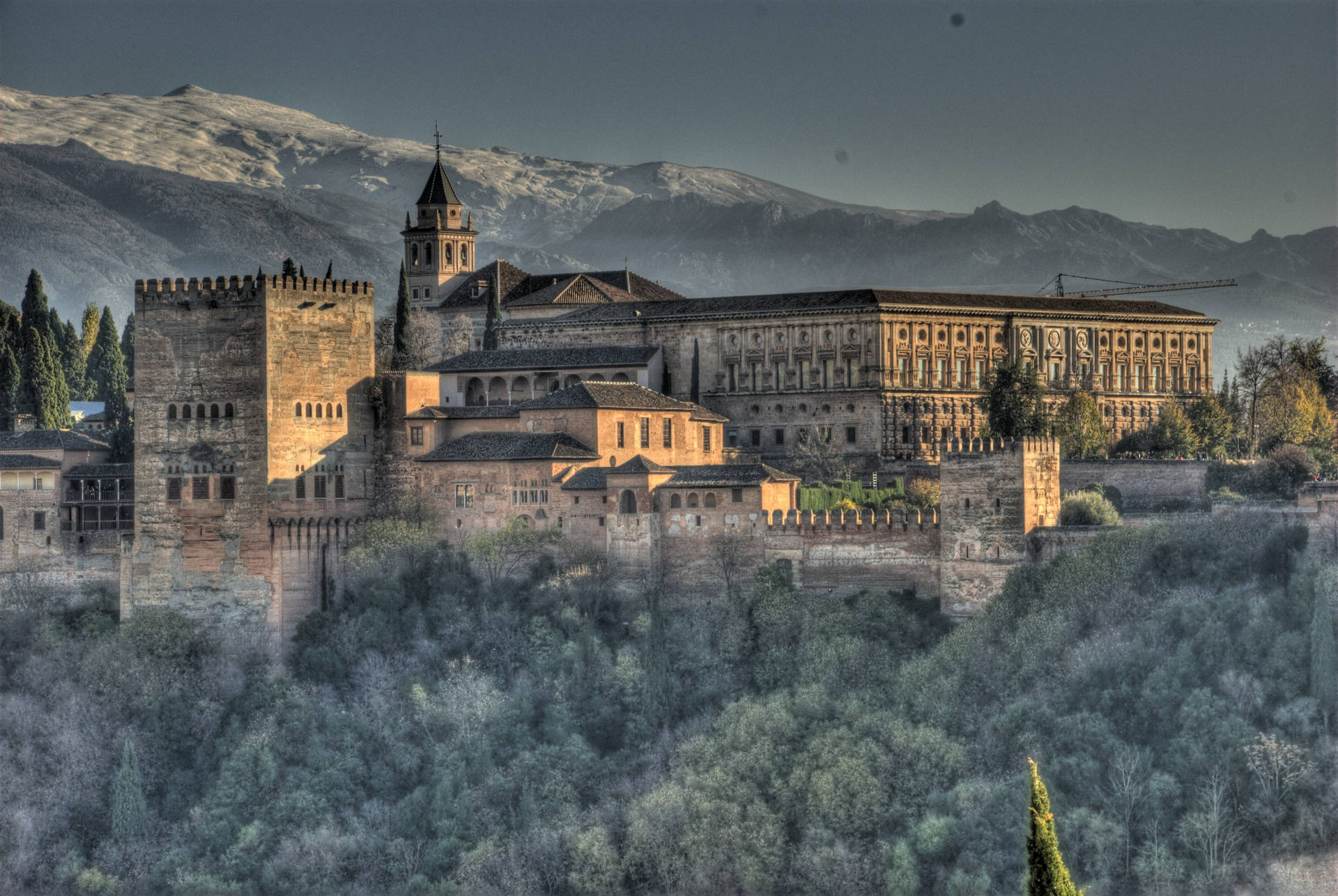 Alhambra Grayish Trees Background