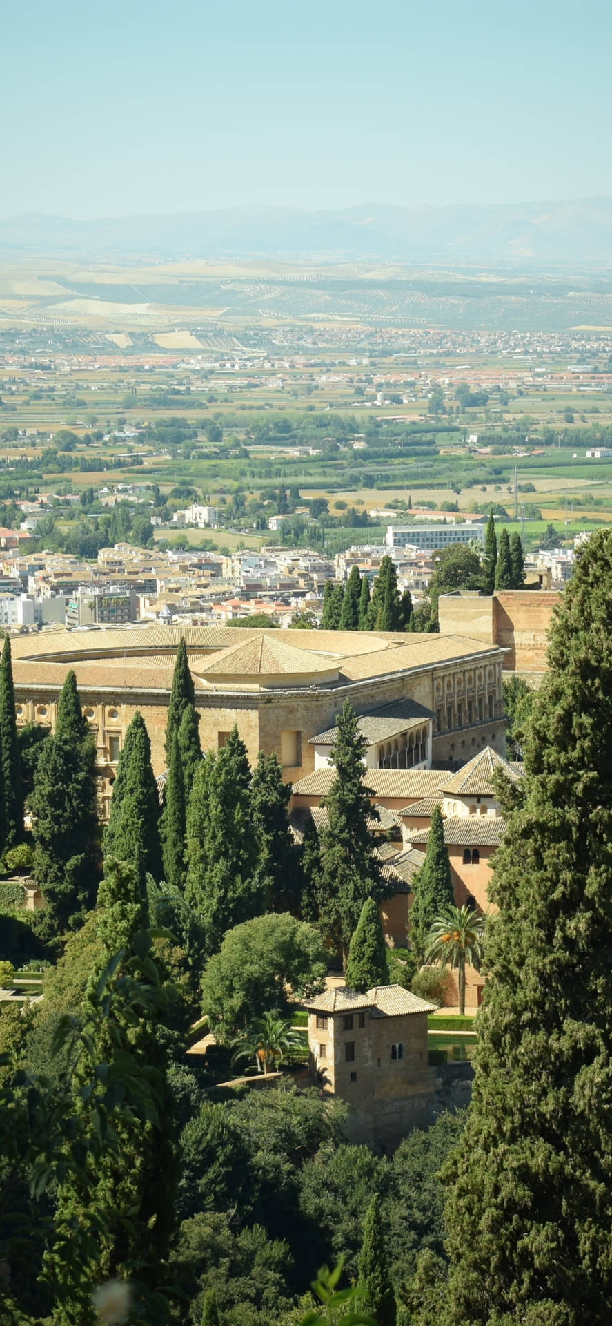 Alhambra Phone Trees Background