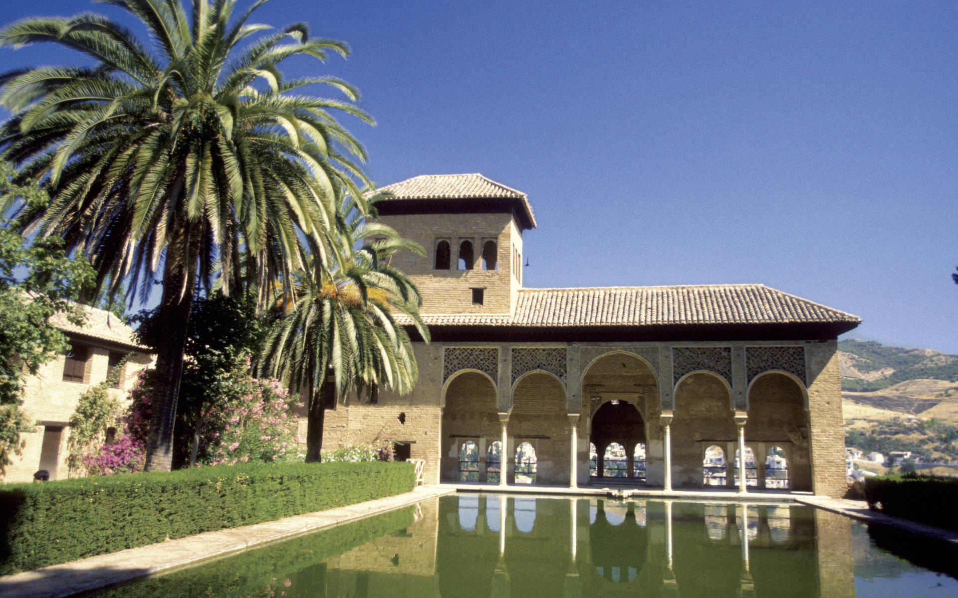 Alhambra Pool Palm Trees