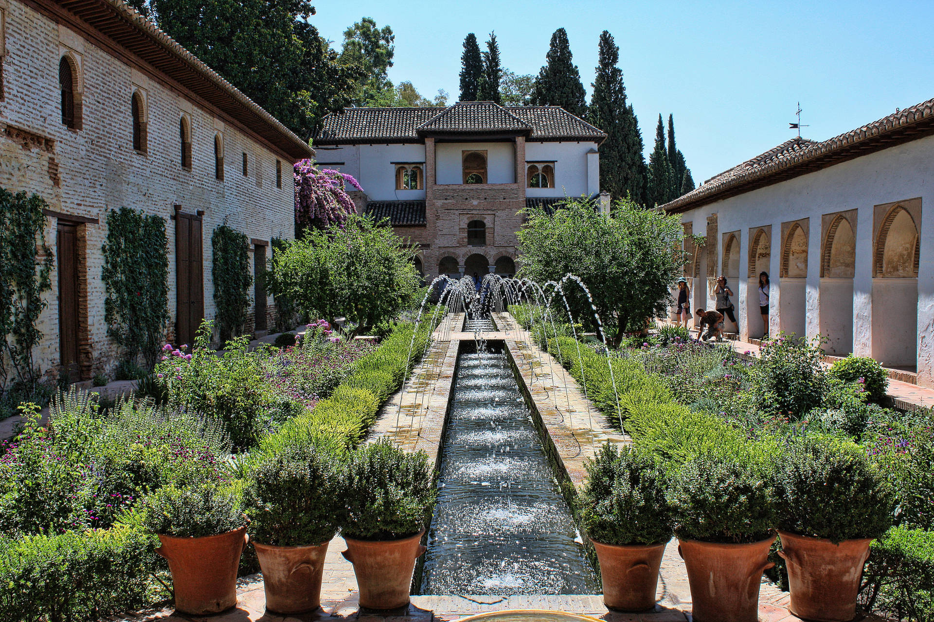 Alhambra Potted Plants Background