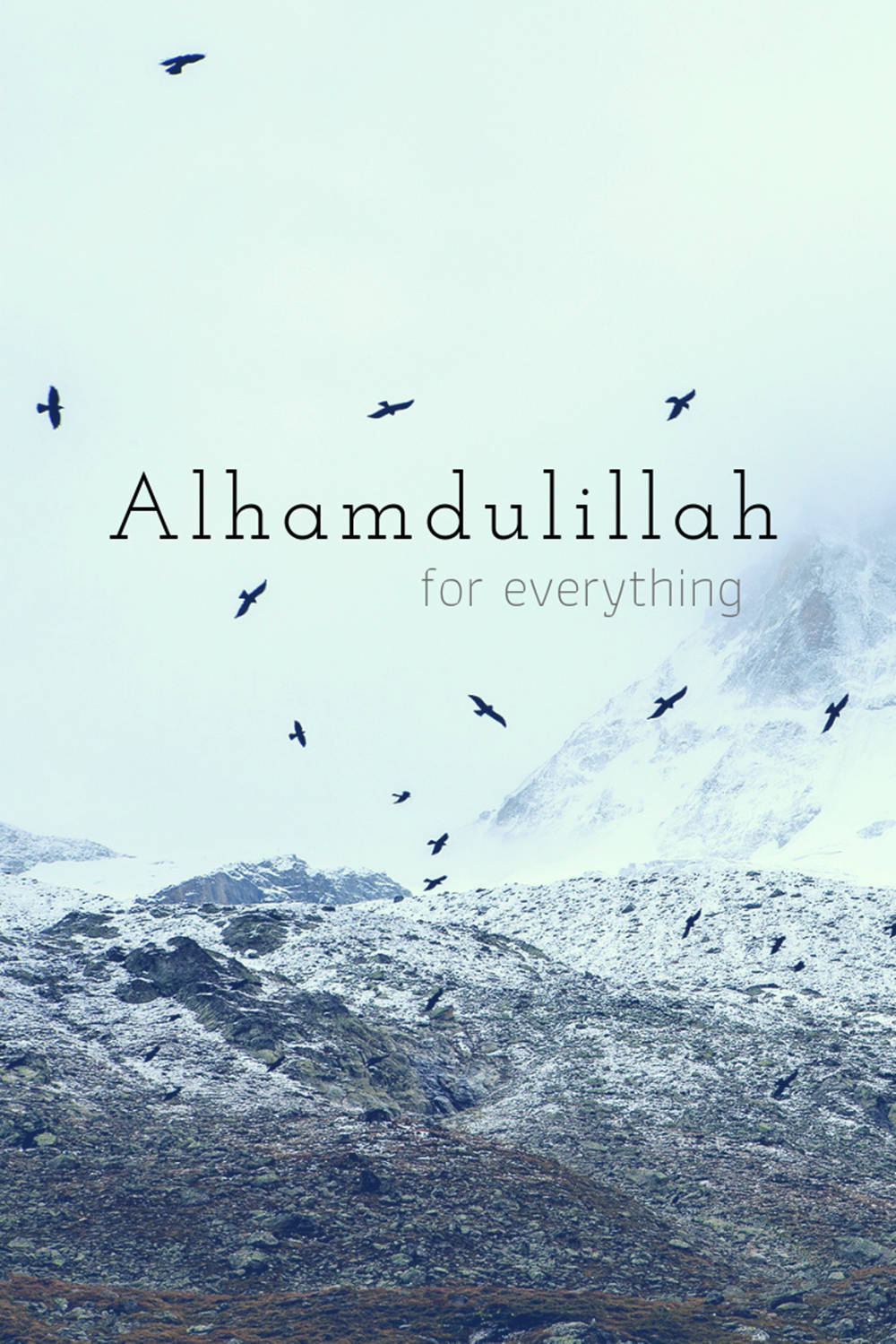 Alhamdulillah Birds And Mountains