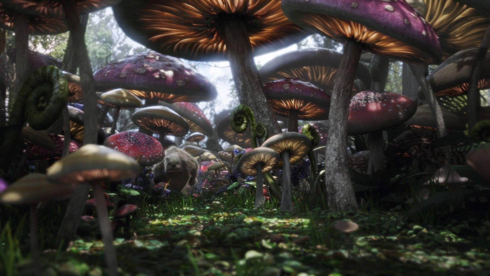 Alice In Wonderland Fungal Forest Background