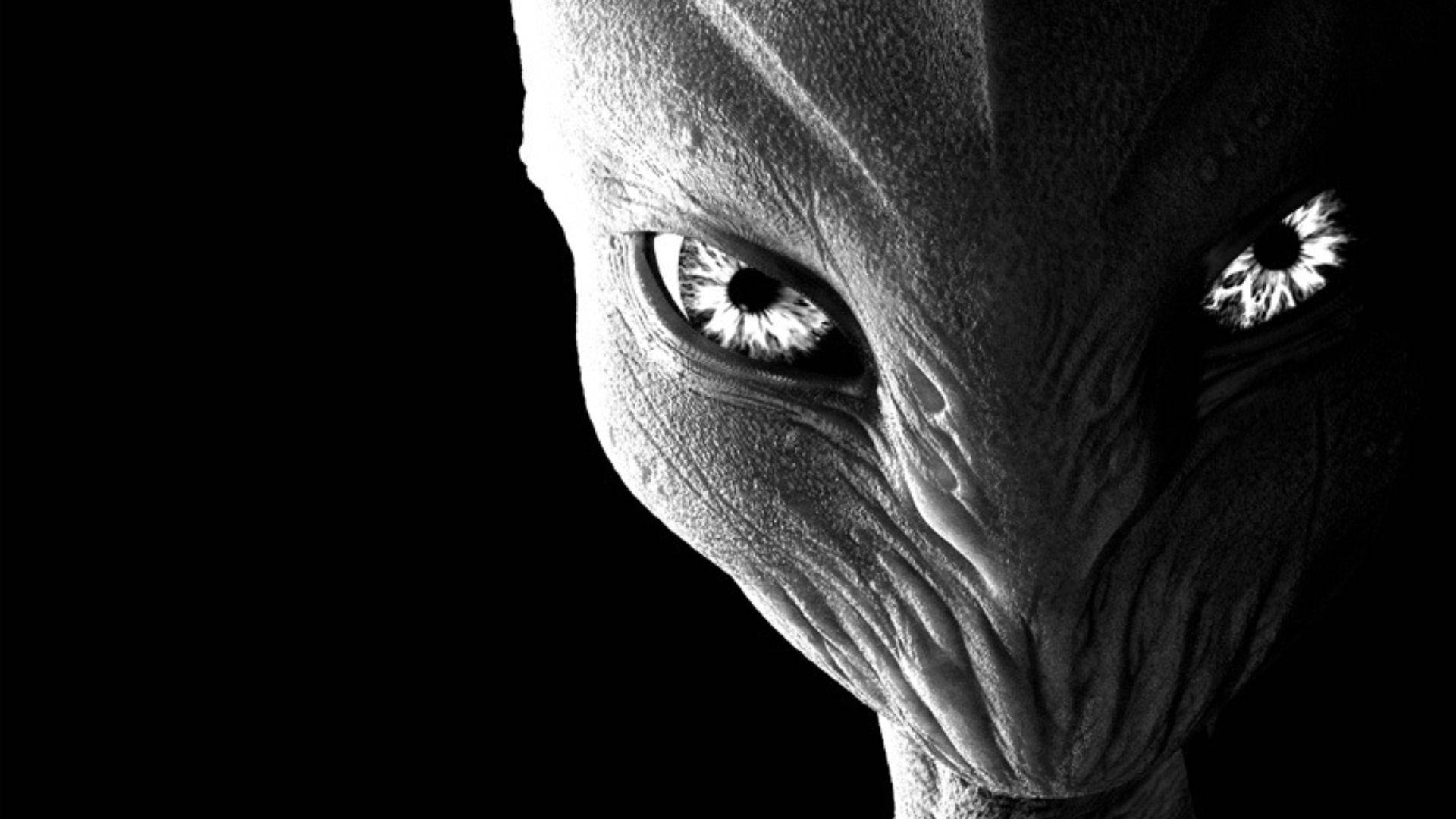 Alien In Black And White Background