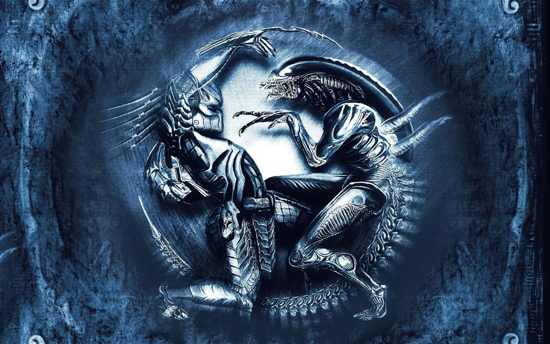 Alien Vs Predator Celtic And Grid Metal Plate Background